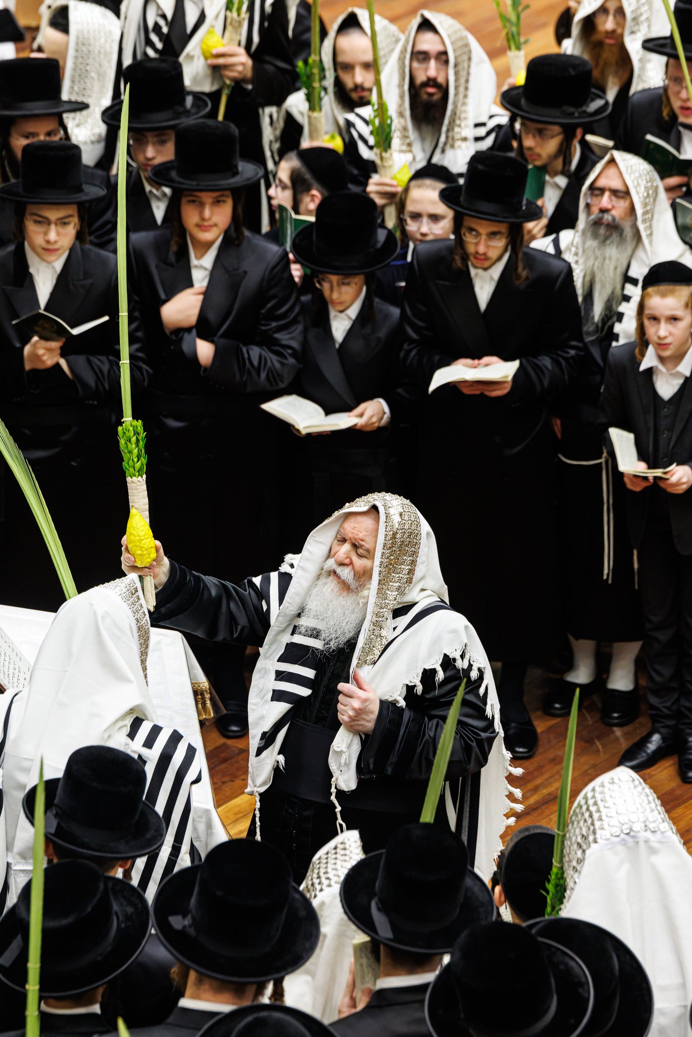 האדמו"ר מבאבוב שליט"א בנענועים בחג הסוכות | צילום: אחים לאנטשעווסקי