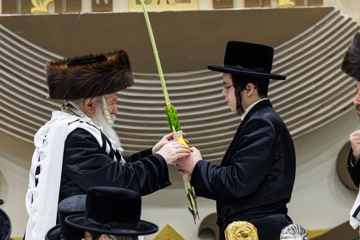 האדמו"ר מבאבוב שליט"א בנענועים בחג הסוכות | צילום: אחים לאנטשעווסקי