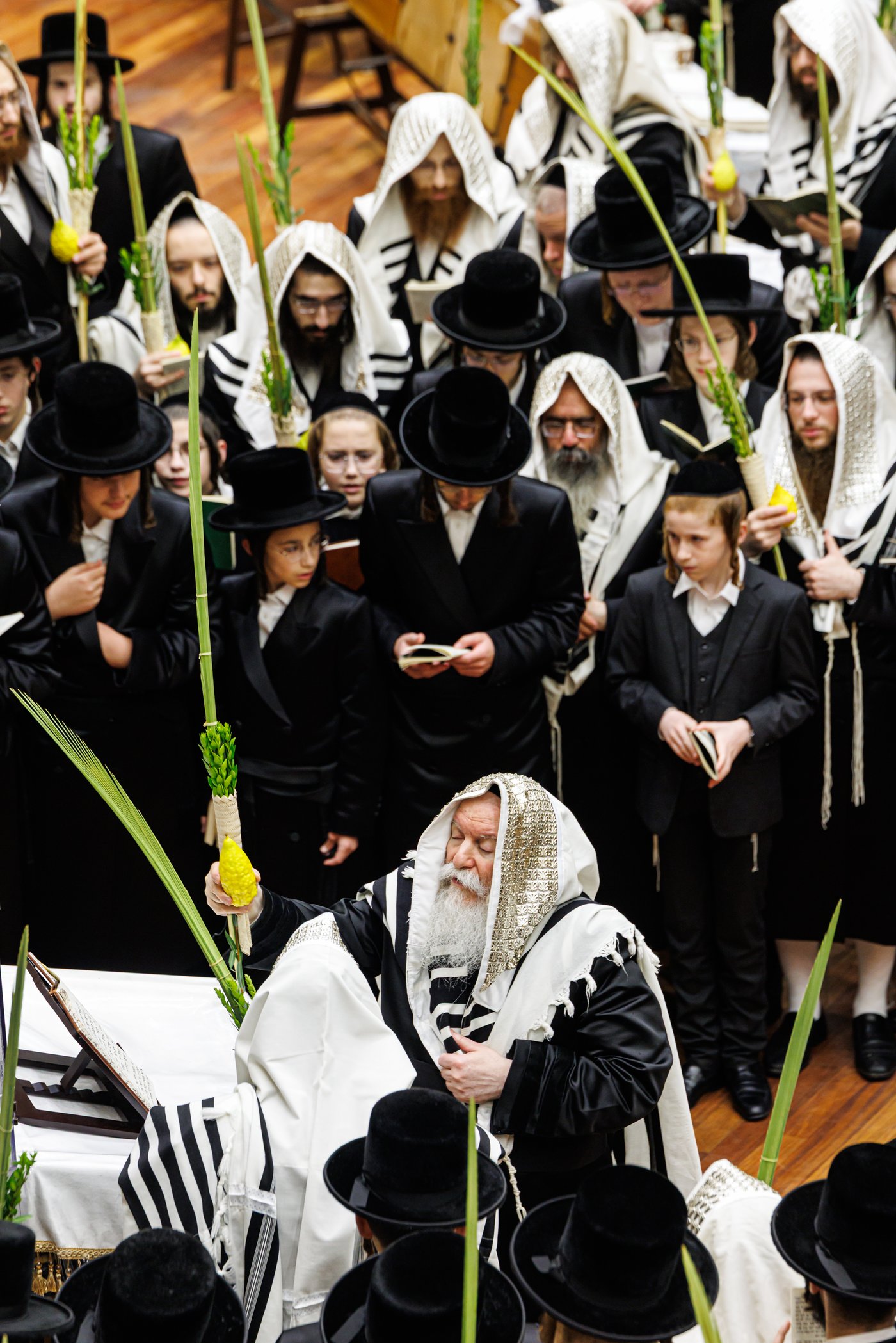 האדמו"ר מבאבוב שליט"א בנענועים בחג הסוכות | צילום: אחים לאנטשעווסקי