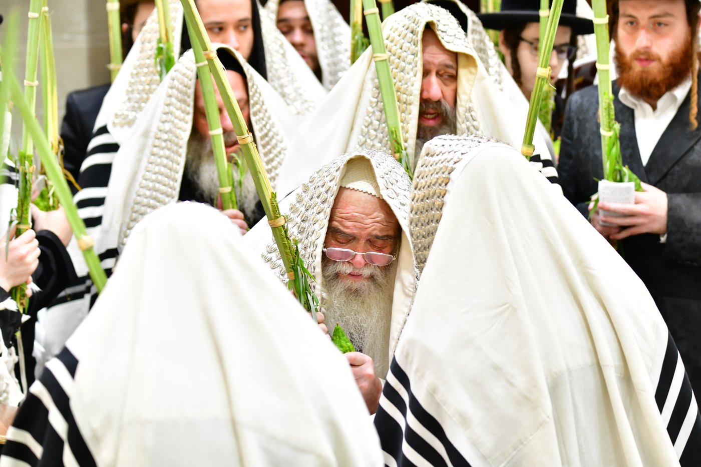 חג הסוכות בחצר הקודש קרעטשניף ירושלים | צילום: שוקי לרר, אברומי בערגער