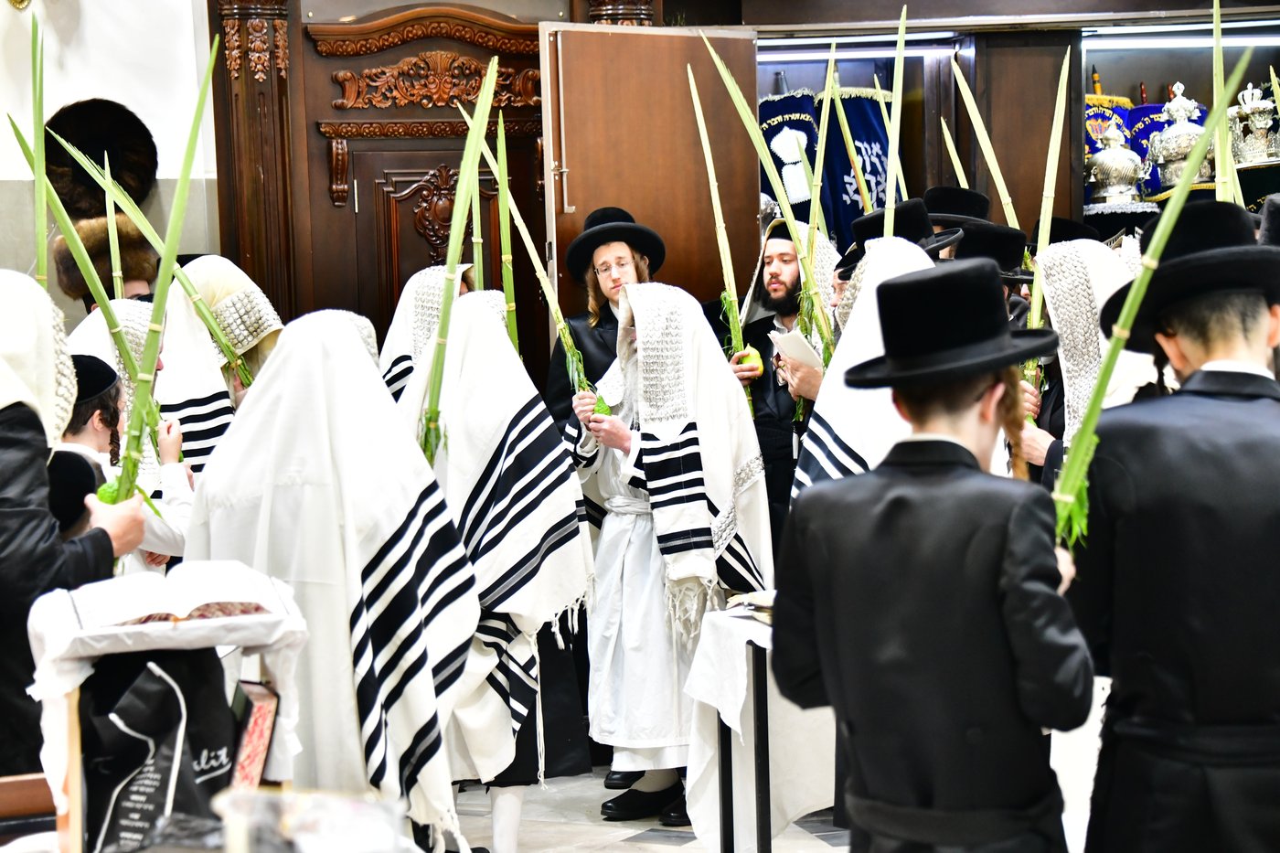 חג הסוכות בחצר הקודש קרעטשניף ירושלים | צילום: שוקי לרר, אברומי בערגער