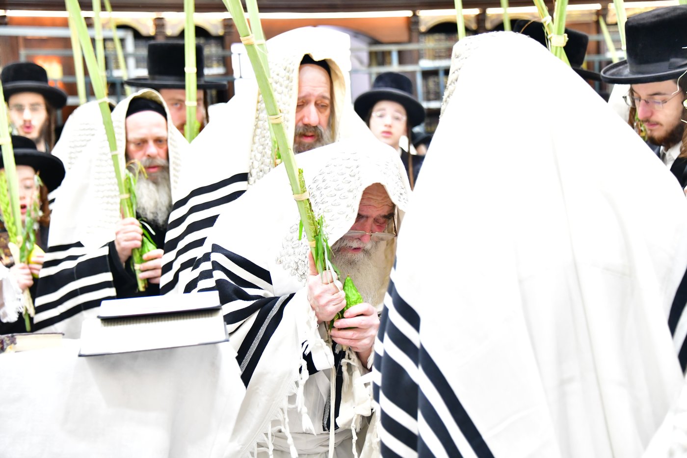 חג הסוכות בחצר הקודש קרעטשניף ירושלים | צילום: שוקי לרר, אברומי בערגער