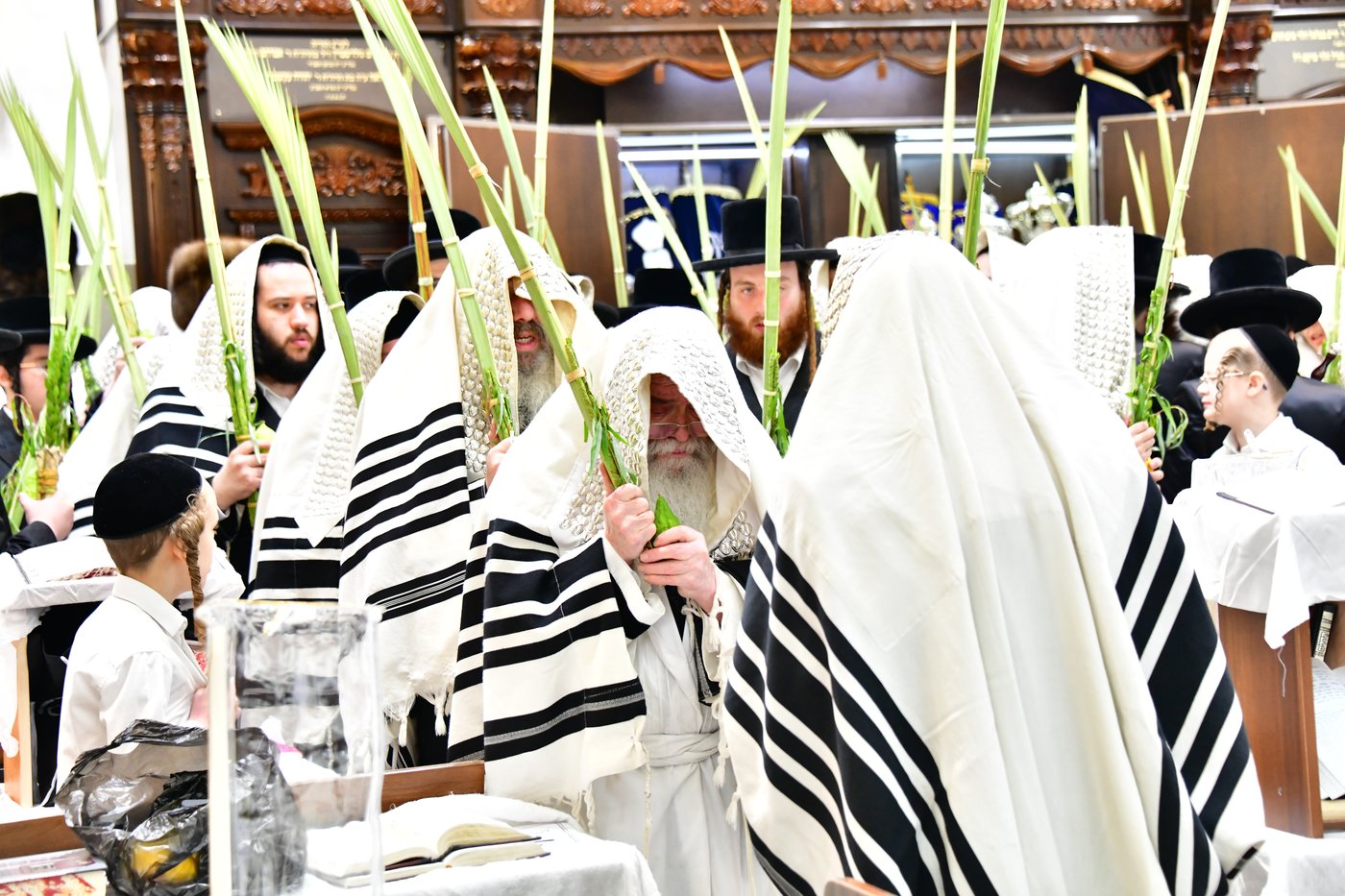 חג הסוכות בחצר הקודש קרעטשניף ירושלים | צילום: שוקי לרר, אברומי בערגער