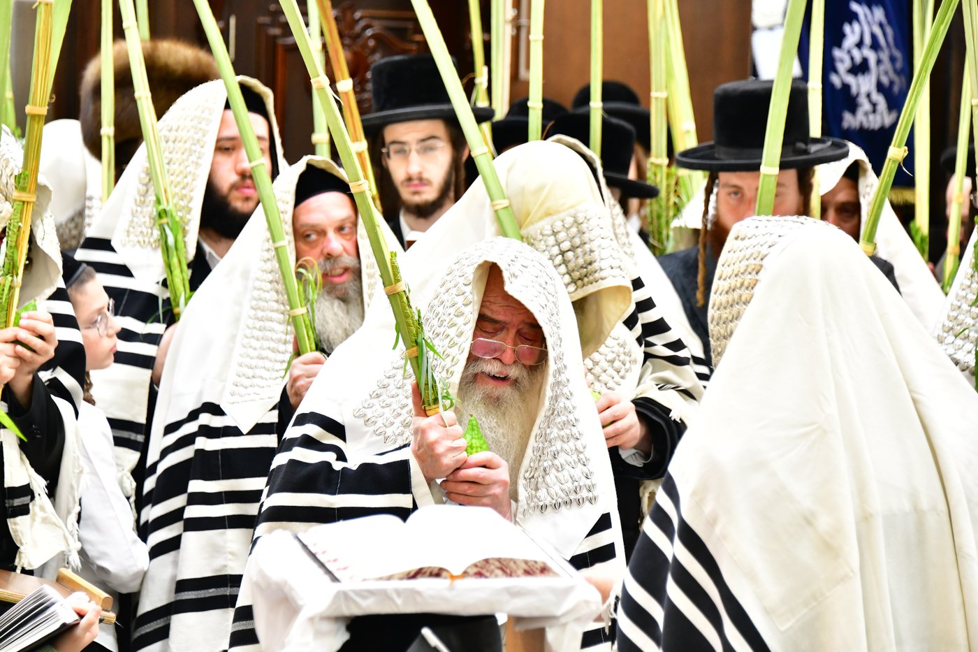 חג הסוכות בחצר הקודש קרעטשניף ירושלים | צילום: שוקי לרר, אברומי בערגער