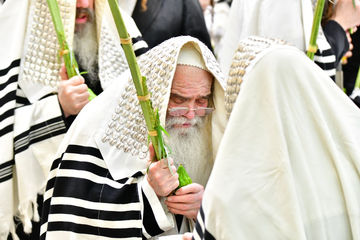 חג הסוכות בחצר הקודש קרעטשניף ירושלים | צילום: שוקי לרר, אברומי בערגער