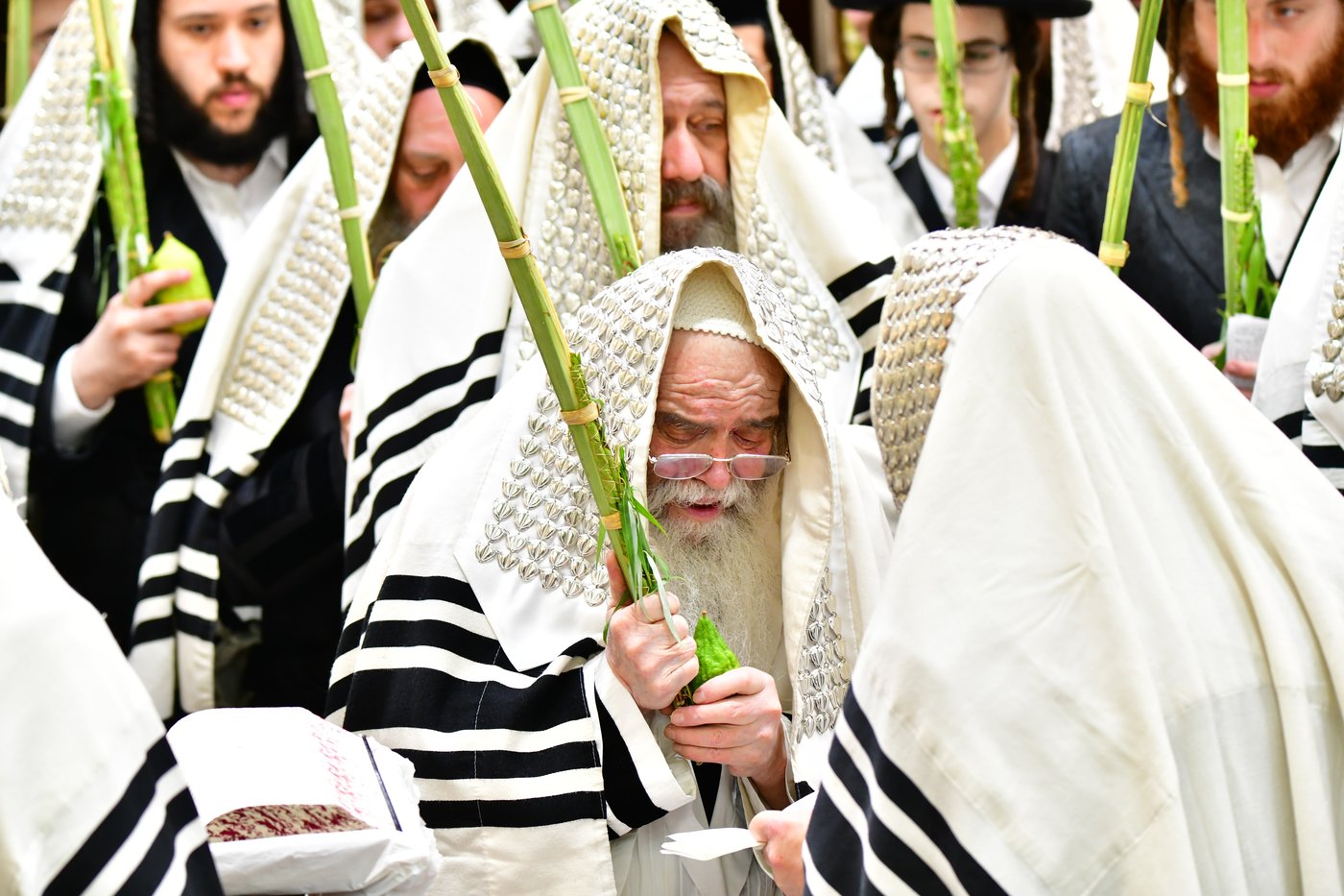 חג הסוכות בחצר הקודש קרעטשניף ירושלים | צילום: שוקי לרר, אברומי בערגער