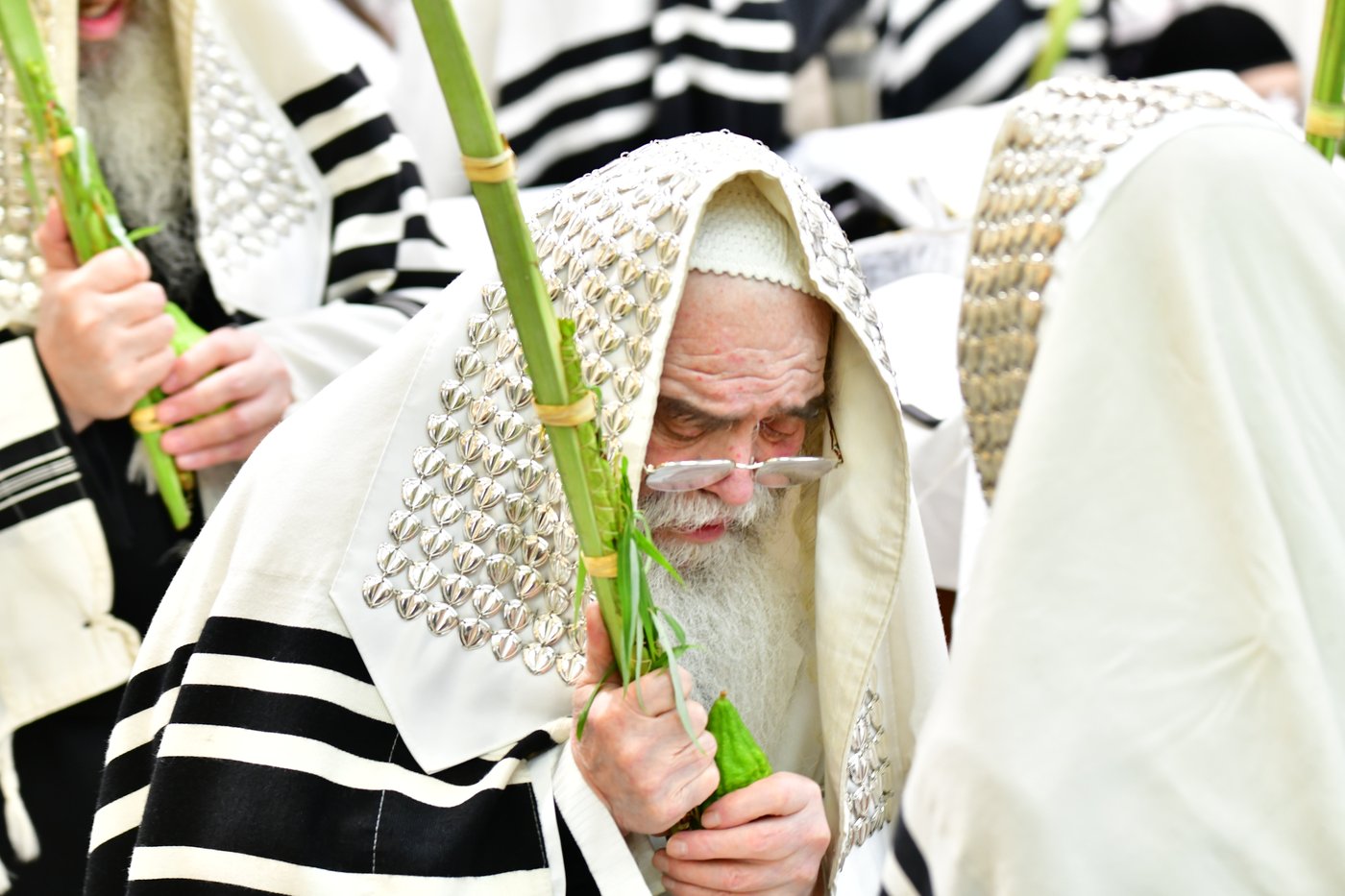 חג הסוכות בחצר הקודש קרעטשניף ירושלים | צילום: שוקי לרר, אברומי בערגער