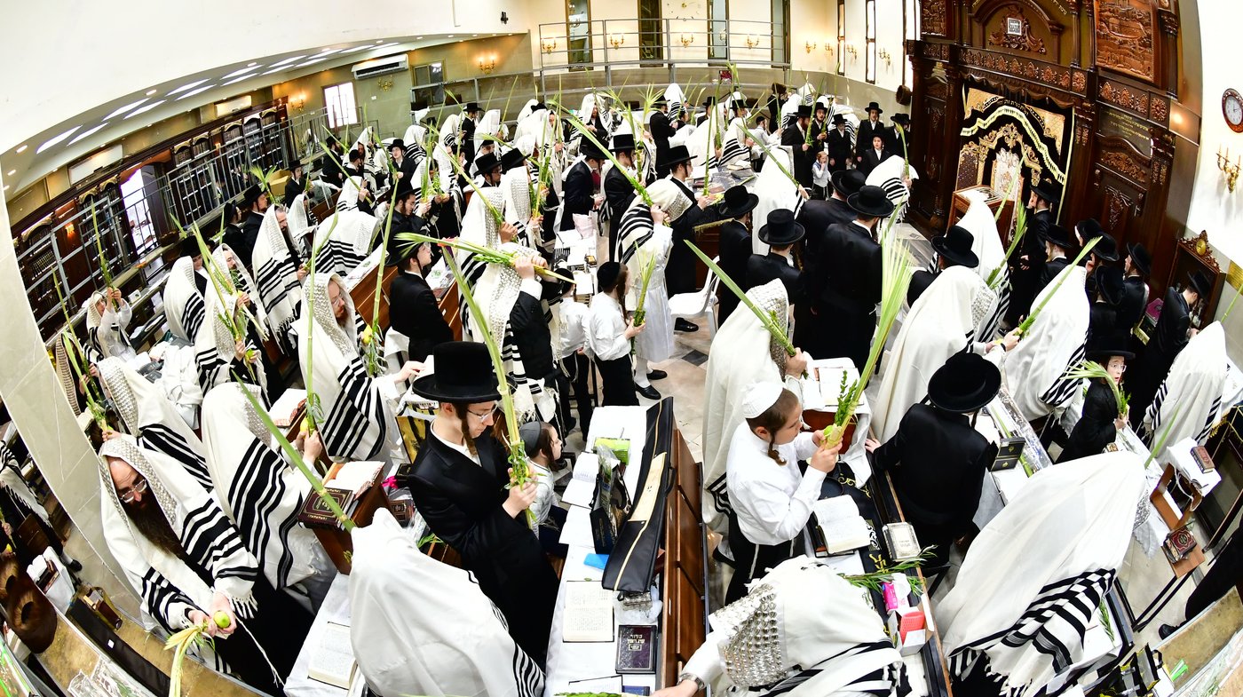 חג הסוכות בחצר הקודש קרעטשניף ירושלים | צילום: שוקי לרר, אברומי בערגער