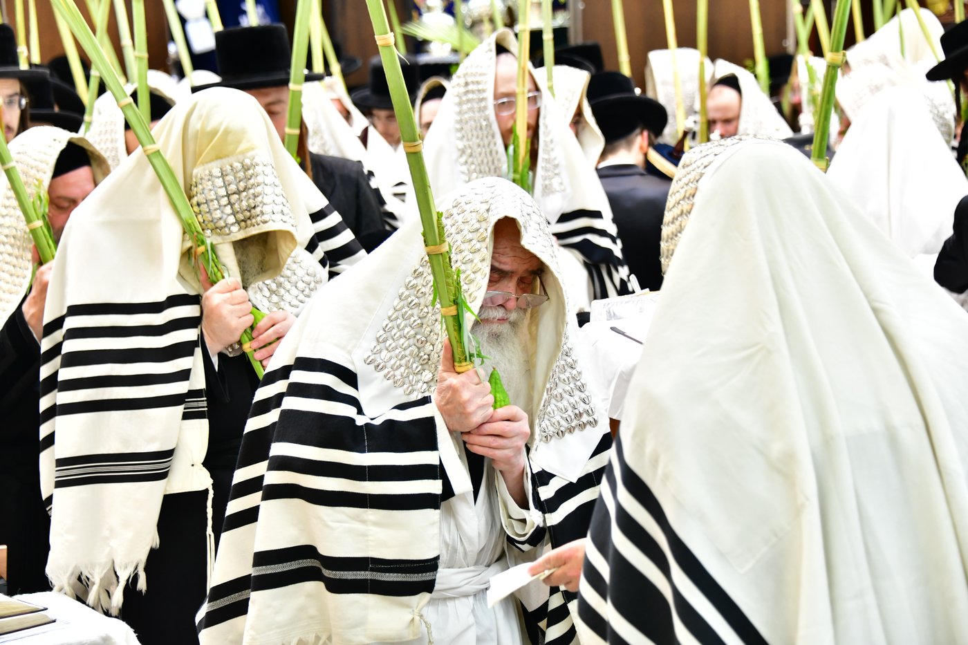 חג הסוכות בחצר הקודש קרעטשניף ירושלים | צילום: שוקי לרר, אברומי בערגער