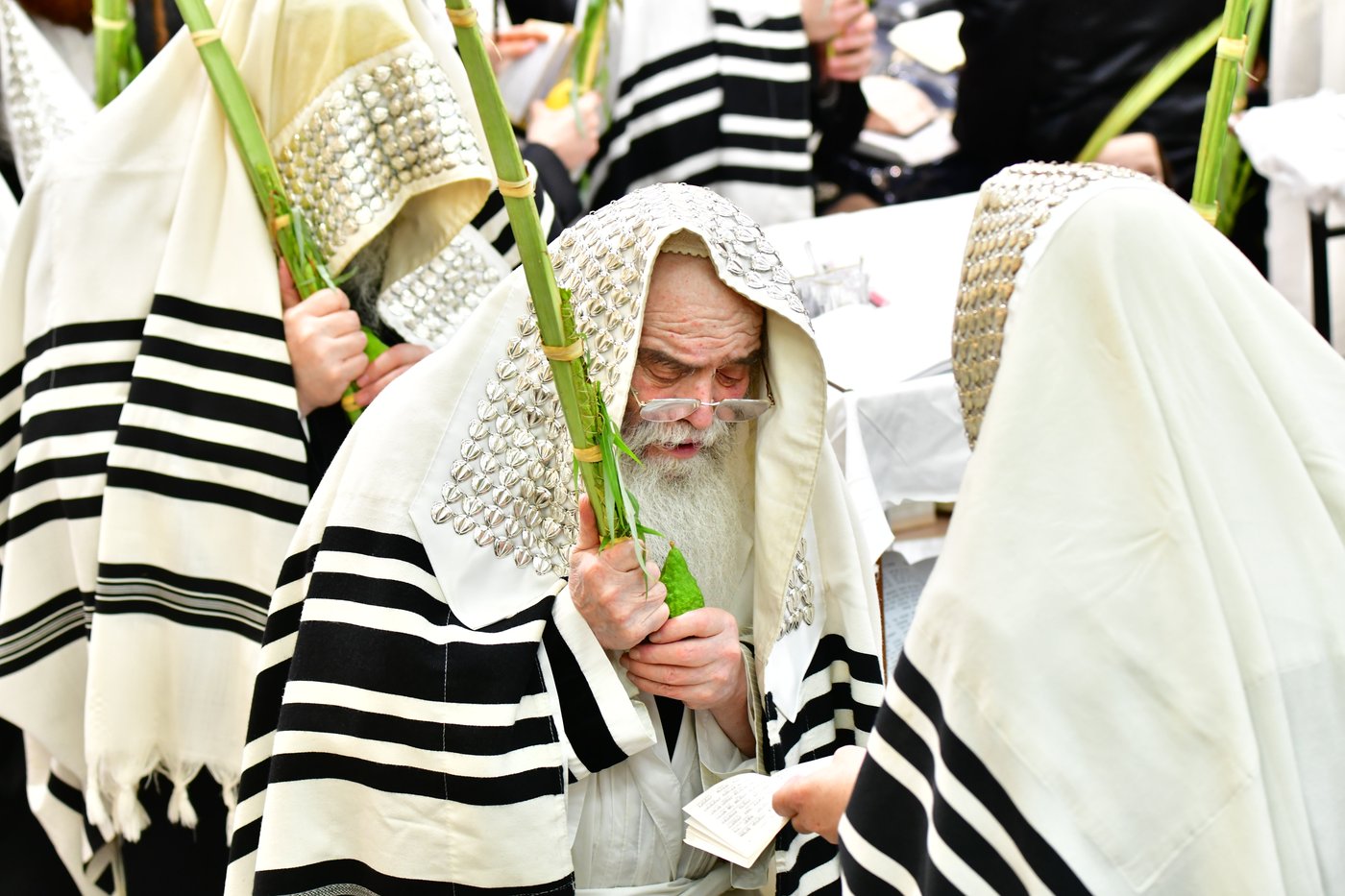 חג הסוכות בחצר הקודש קרעטשניף ירושלים | צילום: שוקי לרר, אברומי בערגער