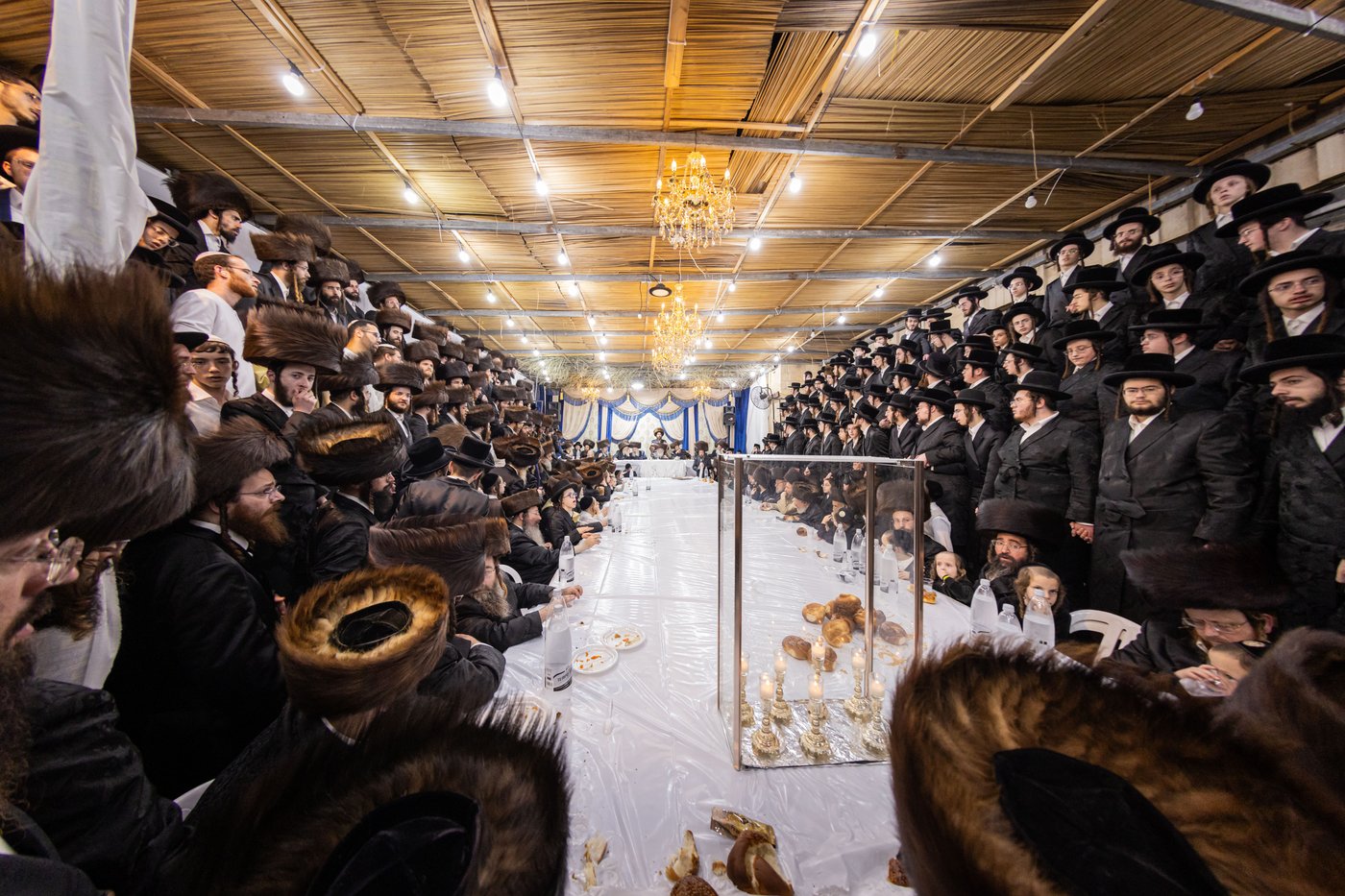 חג הסוכות בחצר הקודש קרעטשניף ירושלים | צילום: שוקי לרר, אברומי בערגער
