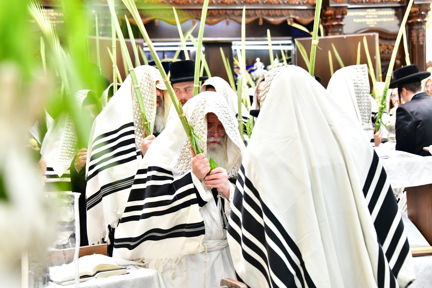 חג הסוכות בחצר הקודש קרעטשניף ירושלים | צילום: שוקי לרר, אברומי בערגער
