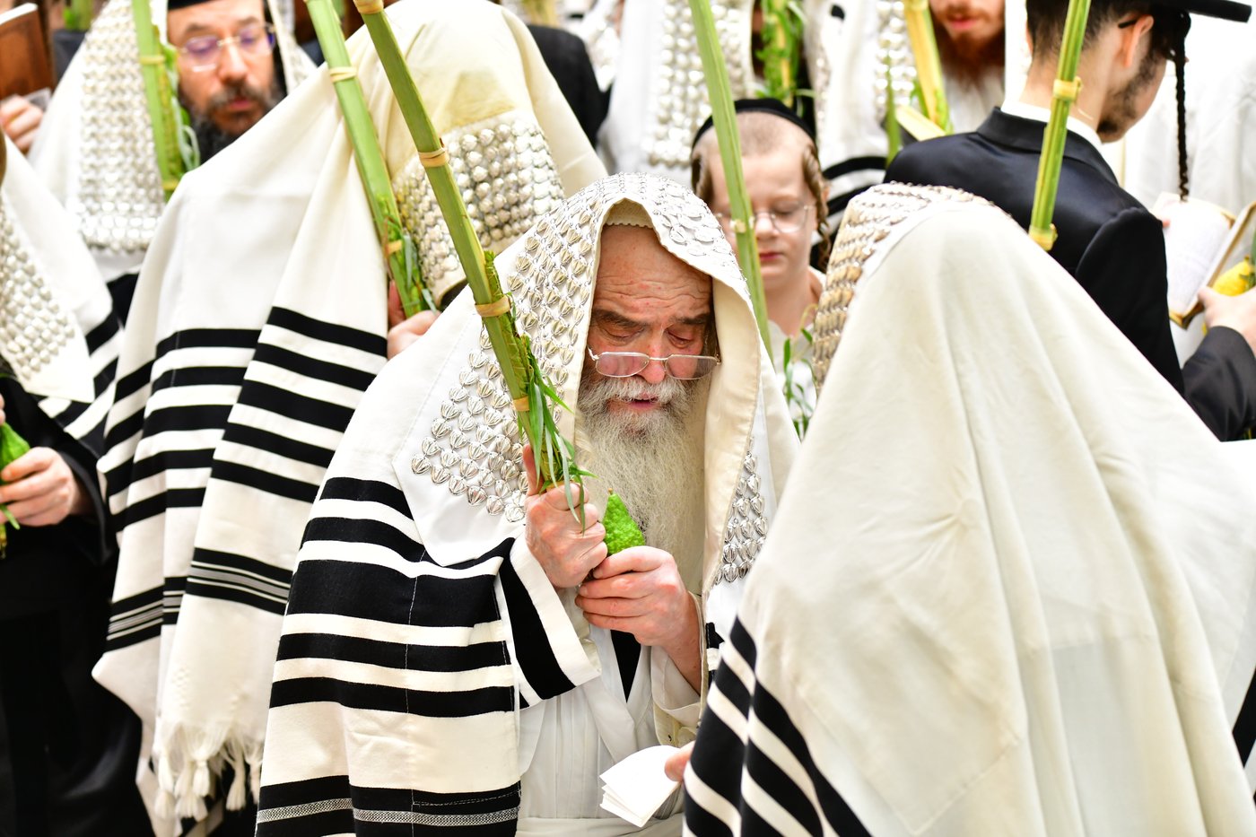 חג הסוכות בחצר הקודש קרעטשניף ירושלים | צילום: שוקי לרר, אברומי בערגער