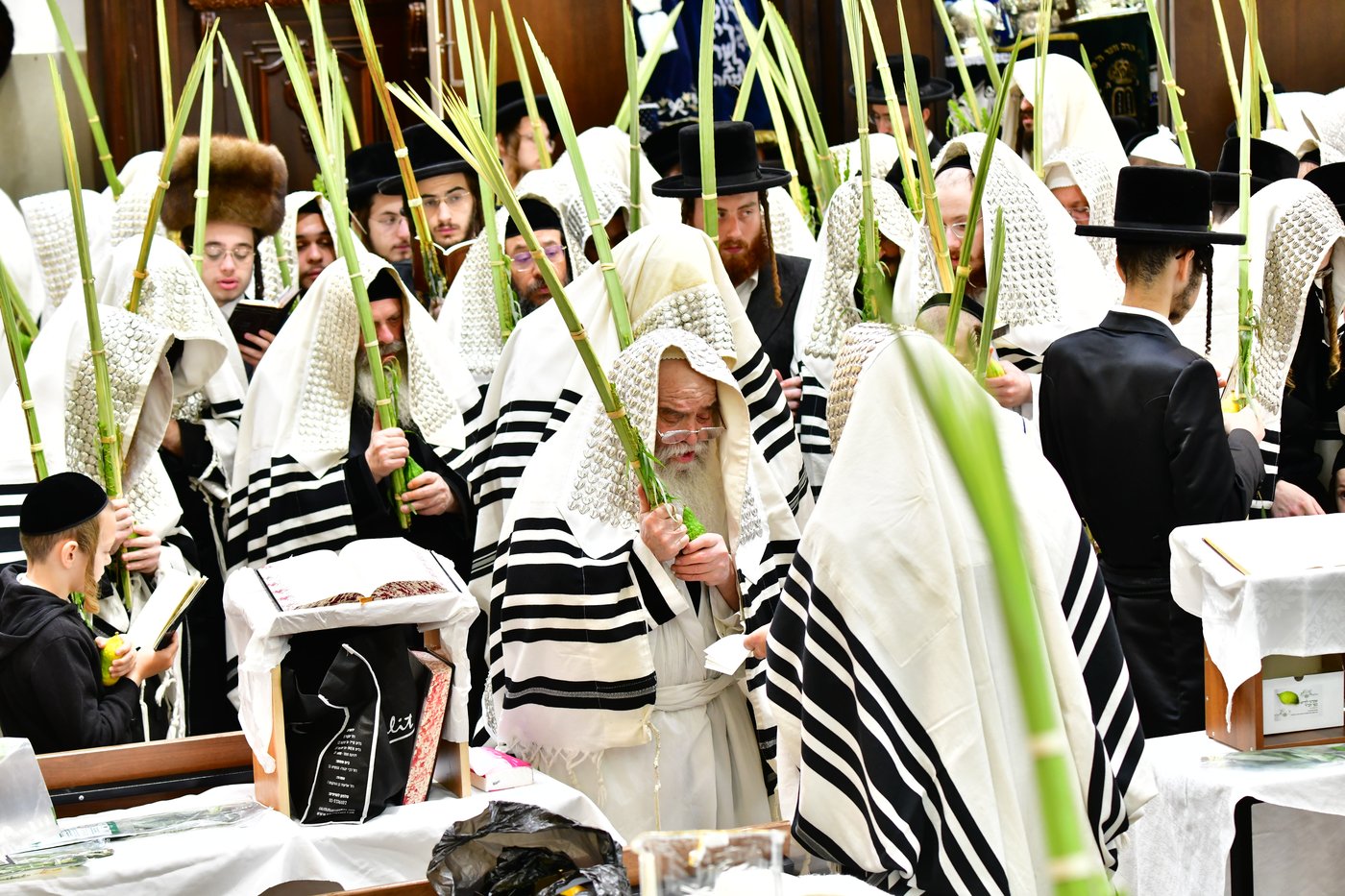 חג הסוכות בחצר הקודש קרעטשניף ירושלים | צילום: שוקי לרר, אברומי בערגער