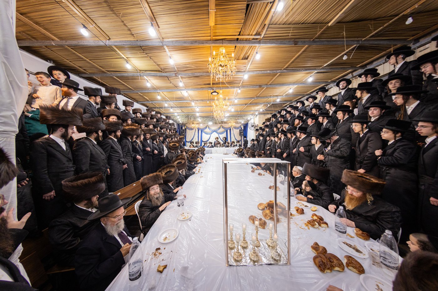 חג הסוכות בחצר הקודש קרעטשניף ירושלים | צילום: שוקי לרר, אברומי בערגער
