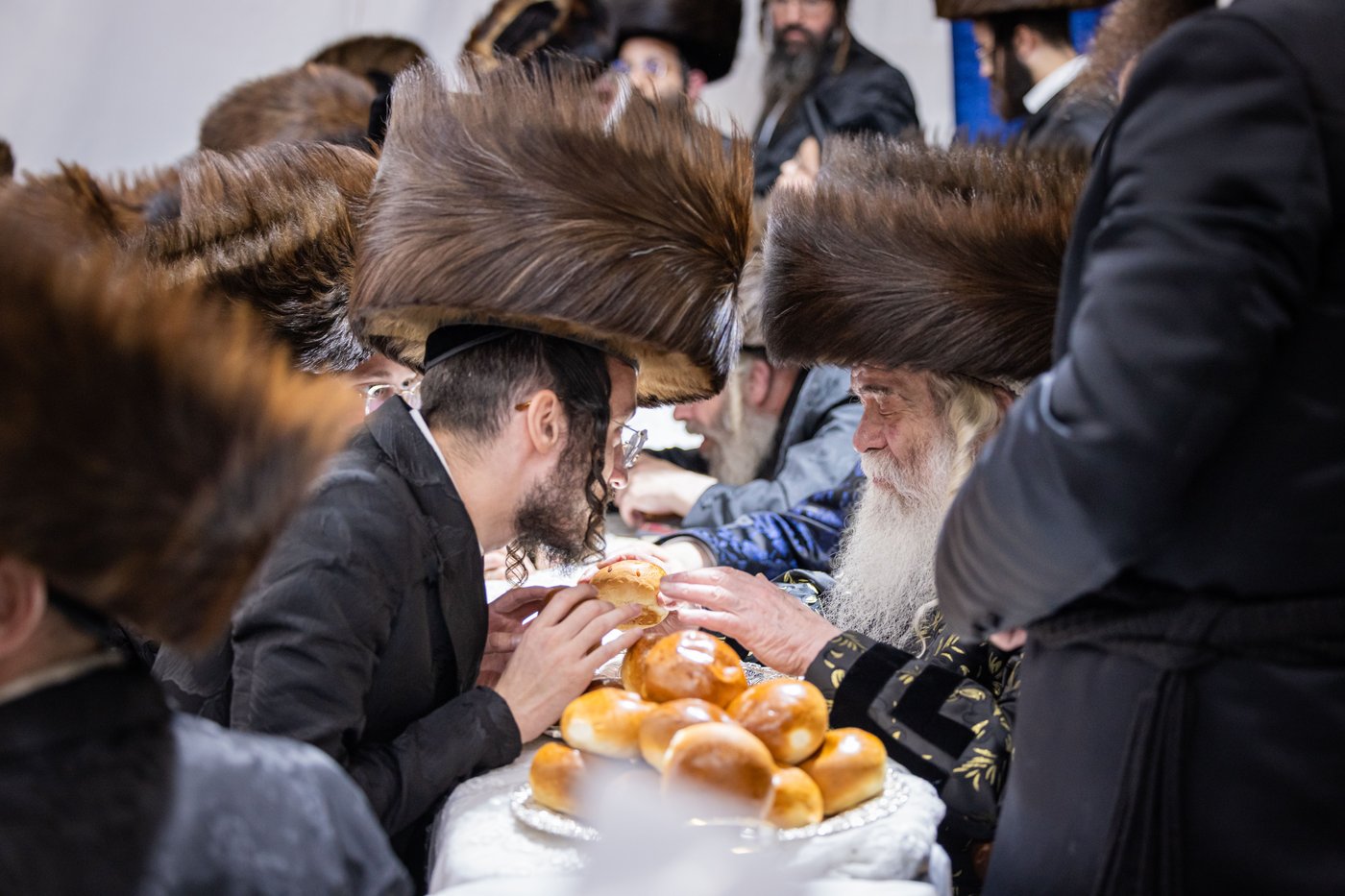 חג הסוכות בחצר הקודש קרעטשניף ירושלים | צילום: שוקי לרר, אברומי בערגער