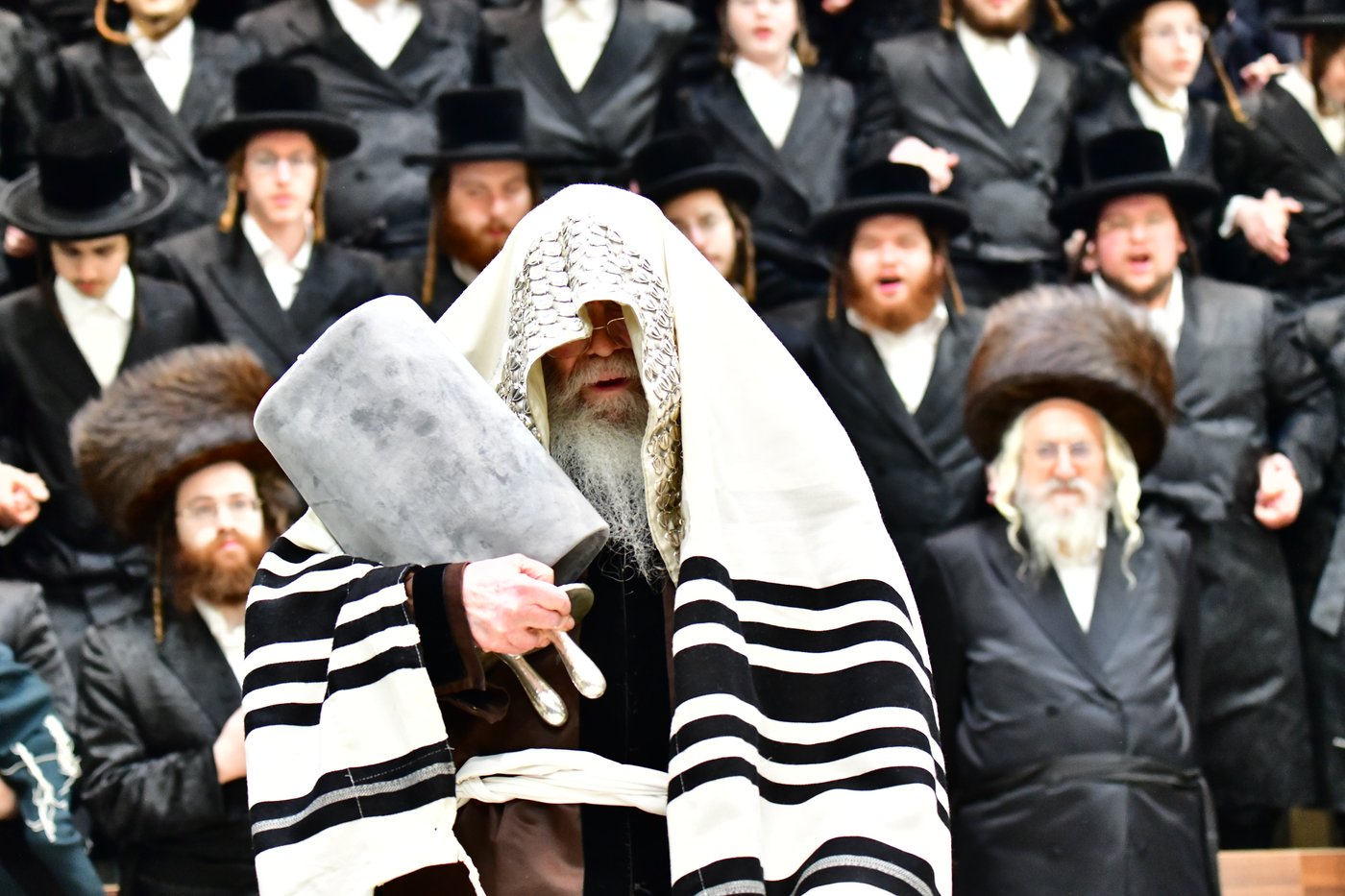 חג הסוכות בחצר הקודש קרעטשניף ירושלים | צילום: שוקי לרר, אברומי בערגער