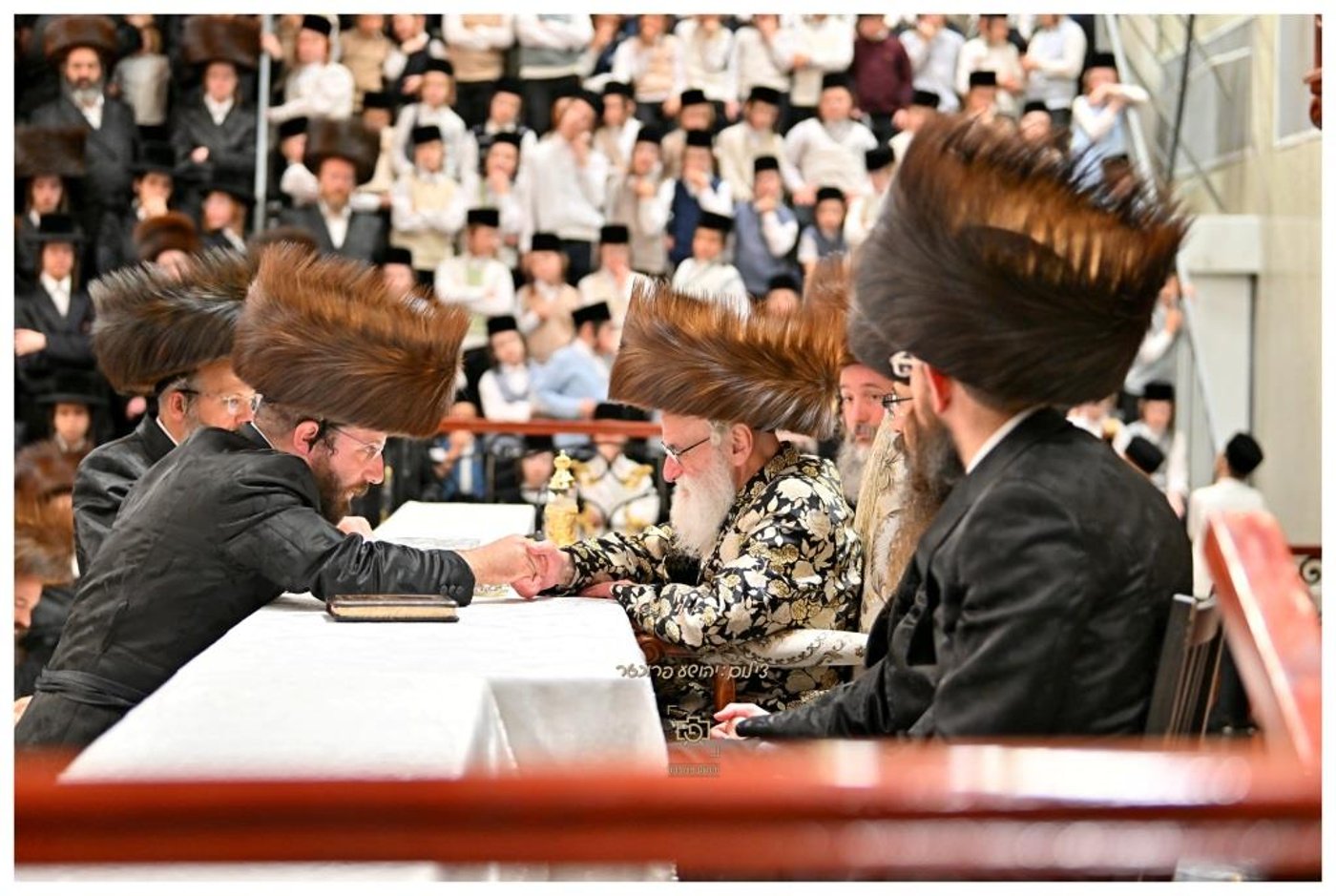 סוכות בחצר הקודש ויז'ניץ | צילום: יהושע פרוכטר