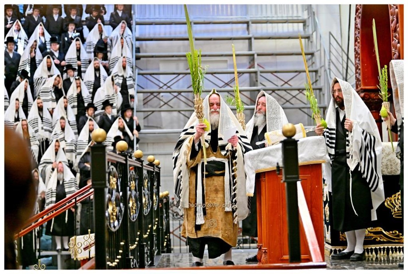 סוכות בחצר הקודש ויז'ניץ | צילום: יהושע פרוכטר