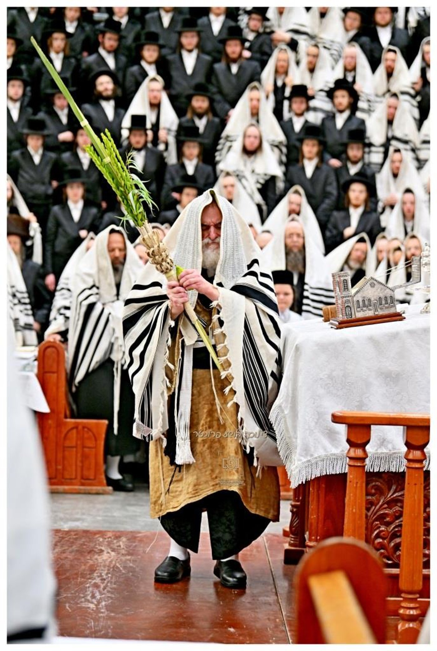 סוכות בחצר הקודש ויז'ניץ | צילום: יהושע פרוכטר