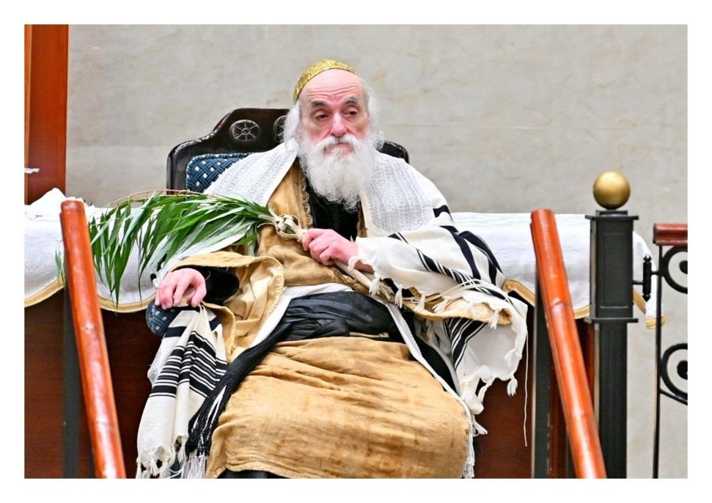 סוכות בחצר הקודש ויז'ניץ | צילום: יהושע פרוכטר