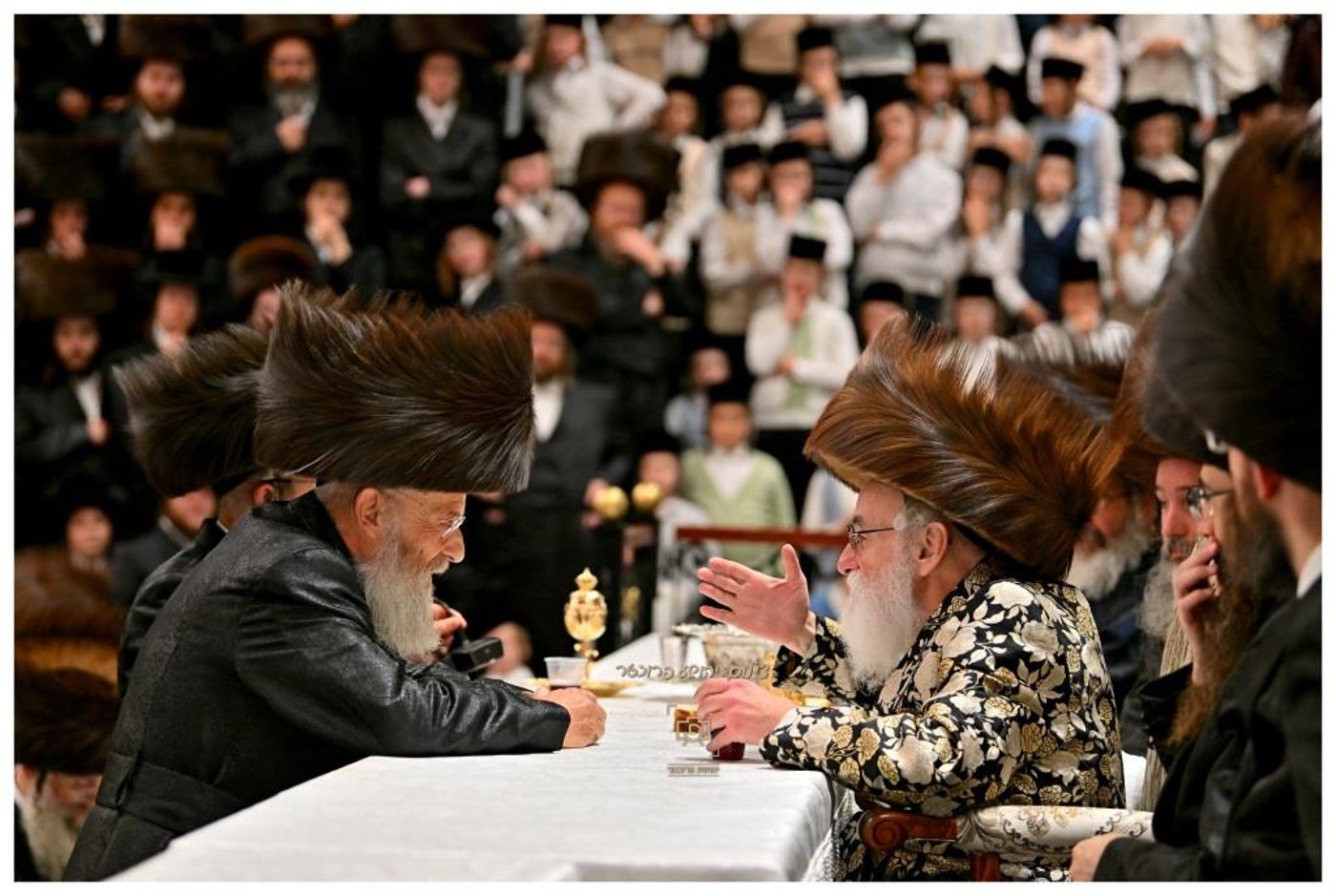 סוכות בחצר הקודש ויז'ניץ | צילום: יהושע פרוכטר