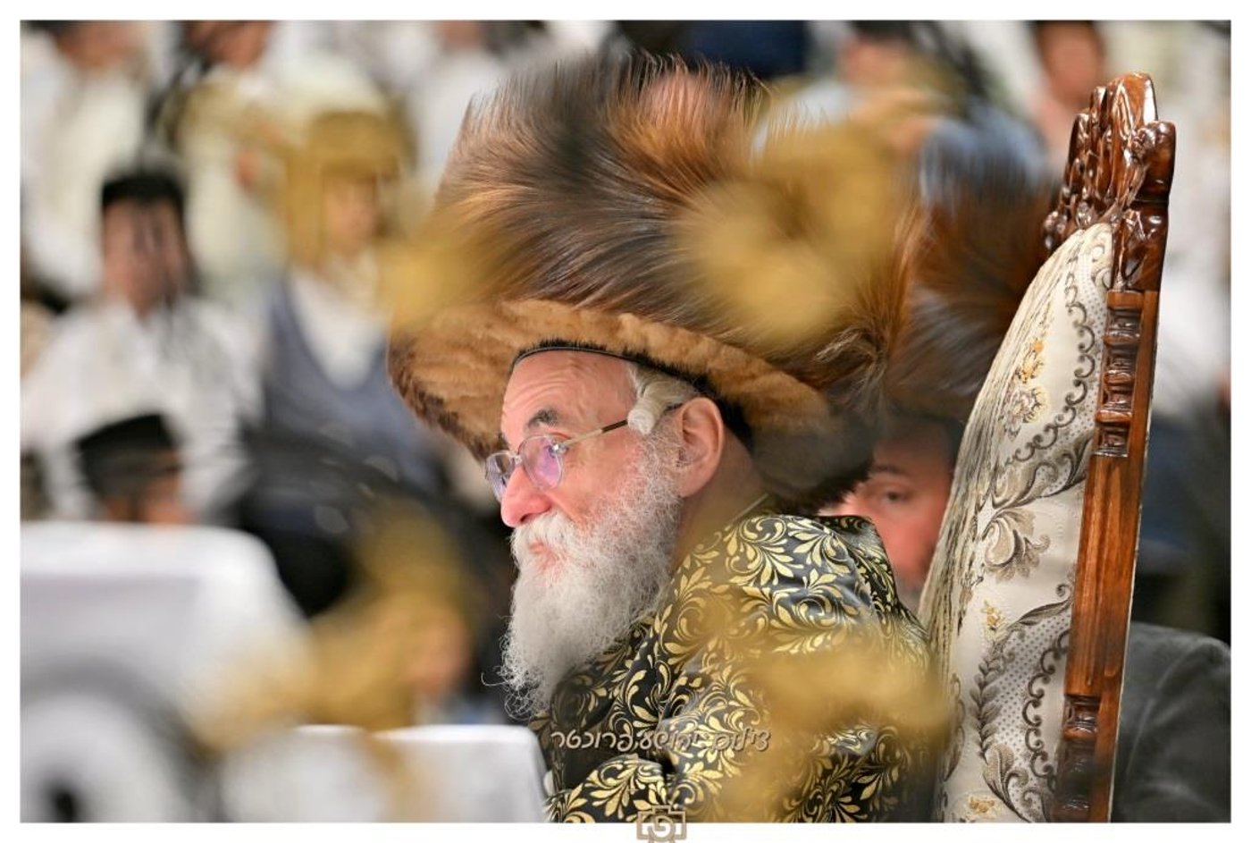 סוכות בחצר הקודש ויז'ניץ | צילום: יהושע פרוכטר