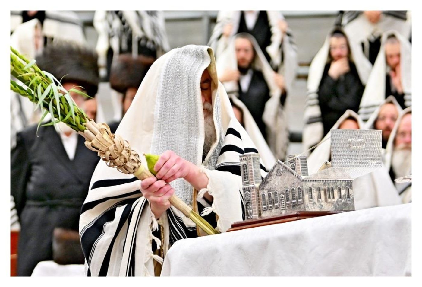 סוכות בחצר הקודש ויז'ניץ | צילום: יהושע פרוכטר