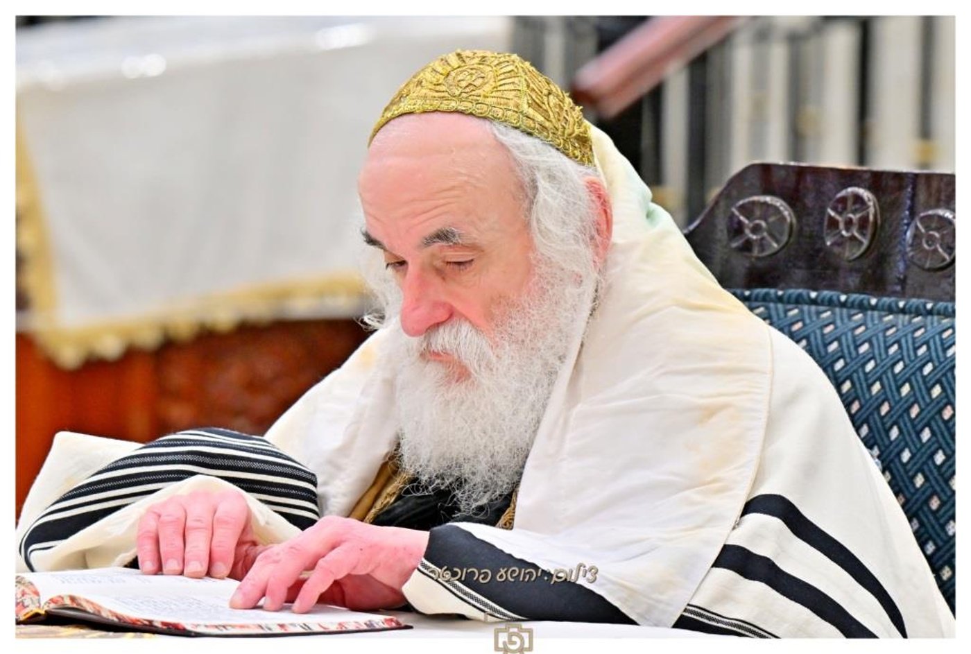 סוכות בחצר הקודש ויז'ניץ | צילום: יהושע פרוכטר