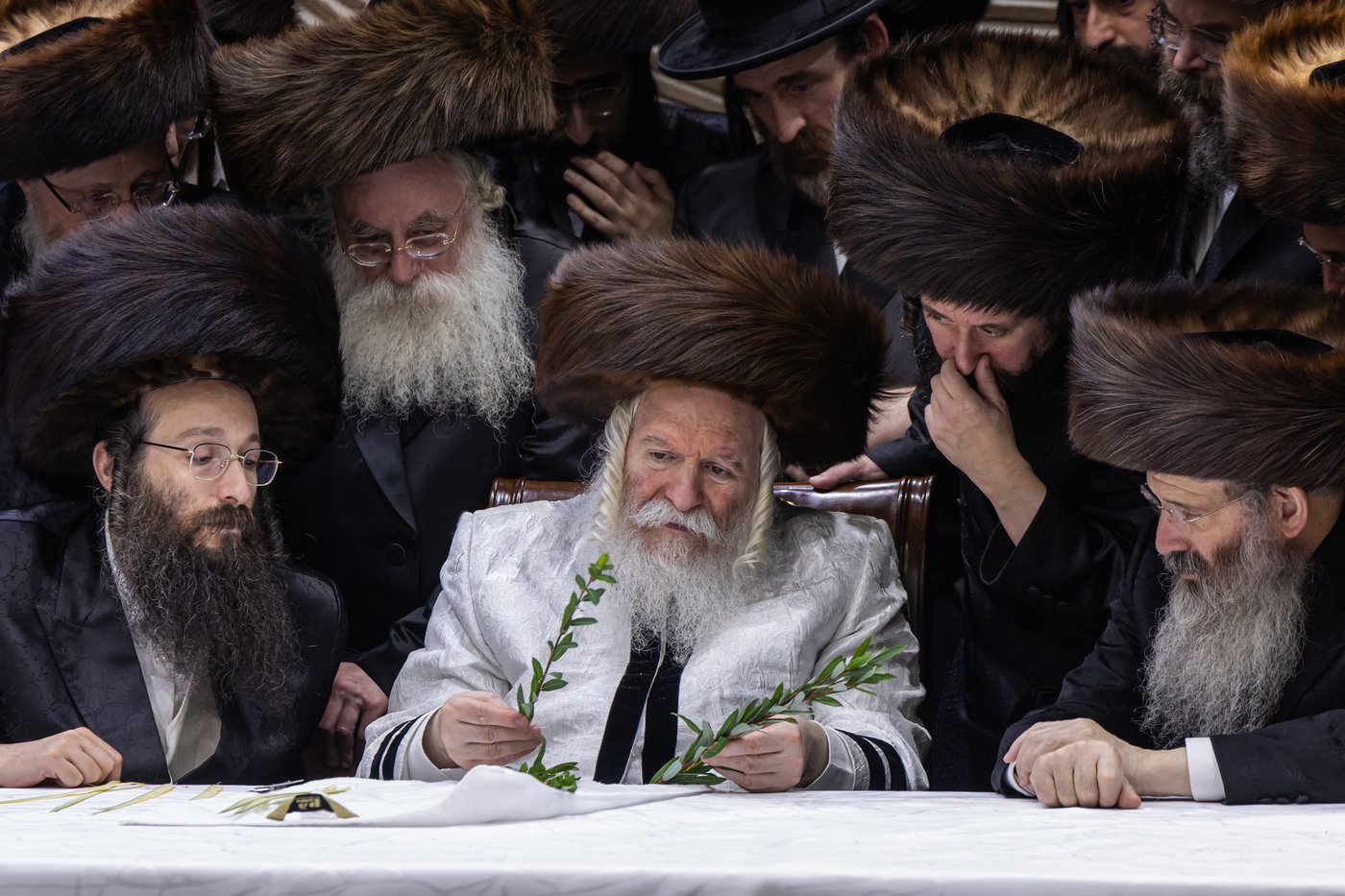 הושענא רבה בחצר הקודש באבוב | צילום: אחים לאנטשעווסקי
