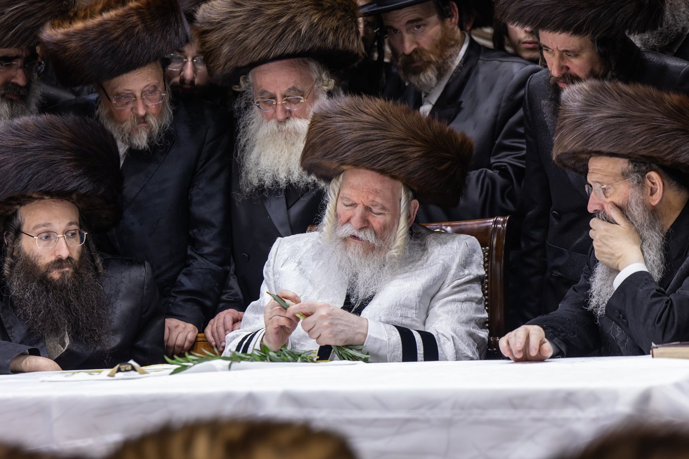 הושענא רבה בחצר הקודש באבוב | צילום: אחים לאנטשעווסקי