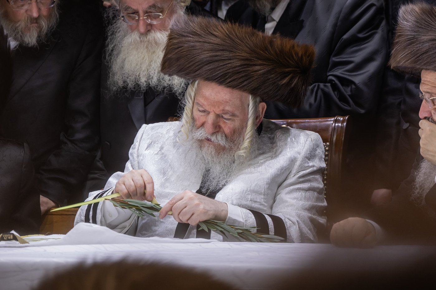 הושענא רבה בחצר הקודש באבוב | צילום: אחים לאנטשעווסקי