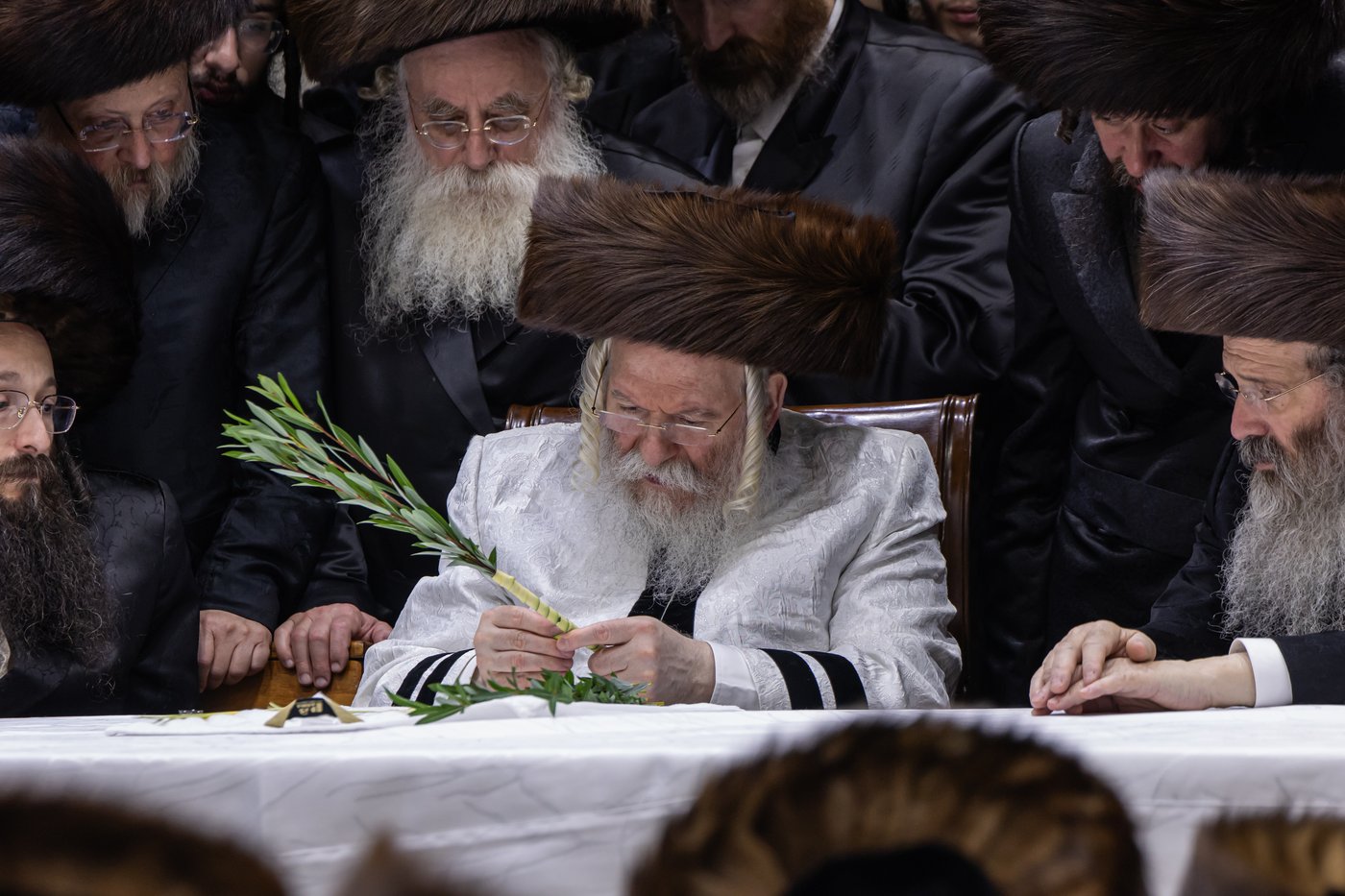 הושענא רבה בחצר הקודש באבוב | צילום: אחים לאנטשעווסקי