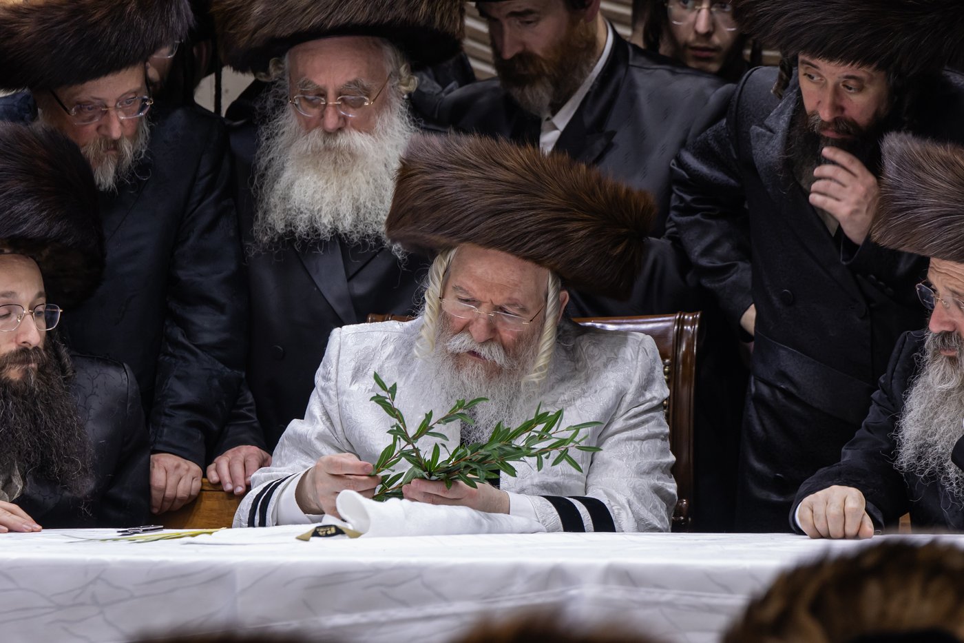 הושענא רבה בחצר הקודש באבוב | צילום: אחים לאנטשעווסקי
