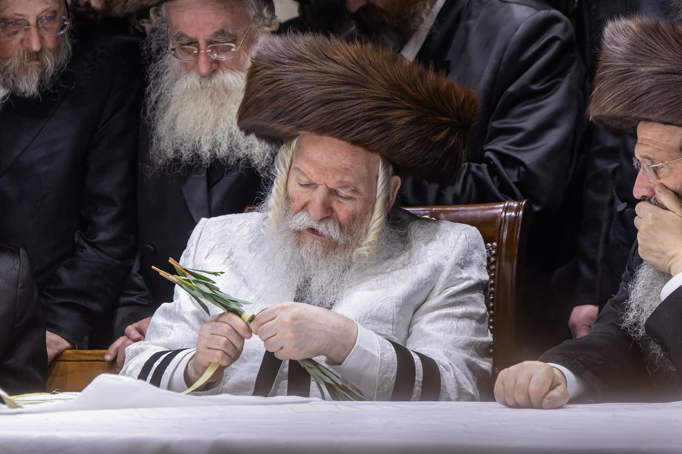 הושענא רבה בחצר הקודש באבוב | צילום: אחים לאנטשעווסקי