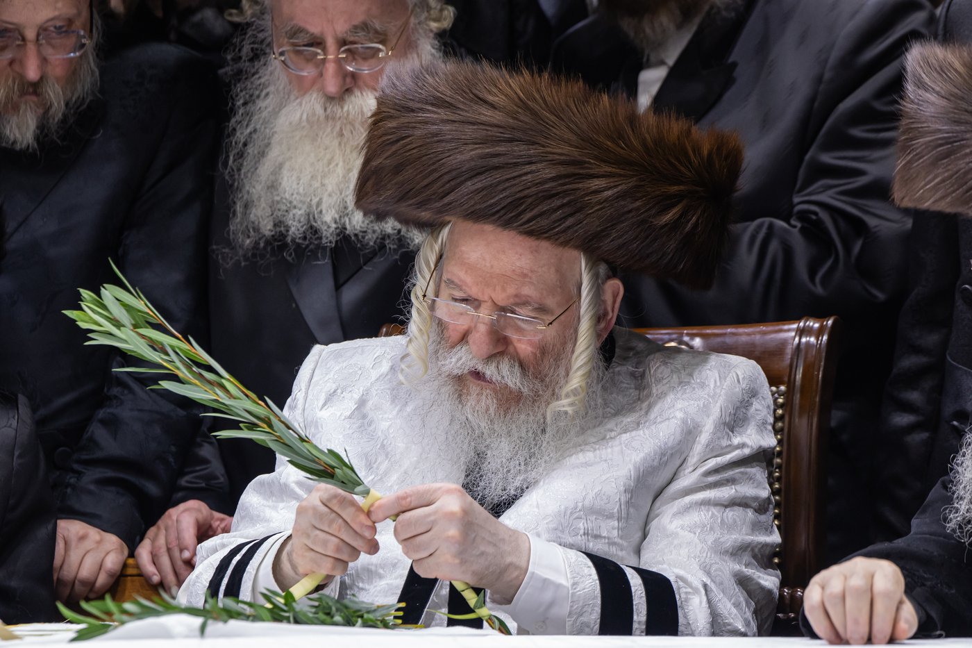 הושענא רבה בחצר הקודש באבוב | צילום: אחים לאנטשעווסקי