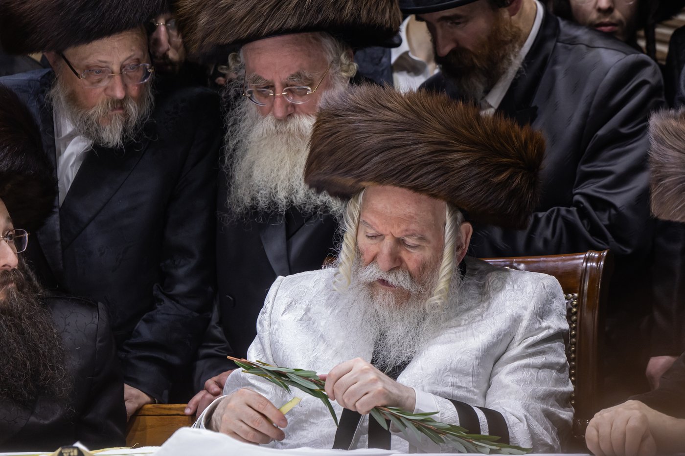 הושענא רבה בחצר הקודש באבוב | צילום: אחים לאנטשעווסקי