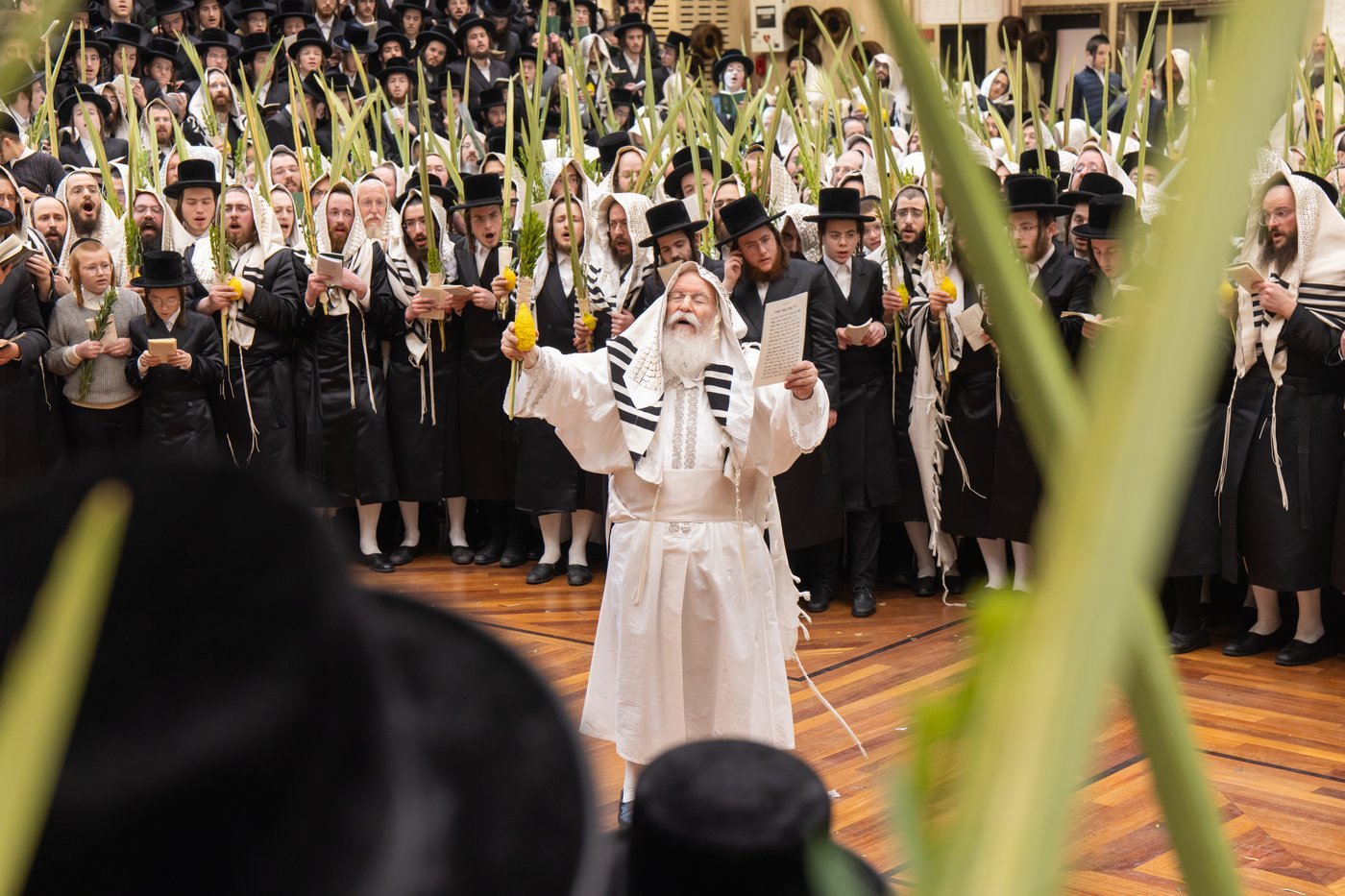 הושענא רבה בחצר הקודש באבוב | צילום: אחים לאנטשעווסקי