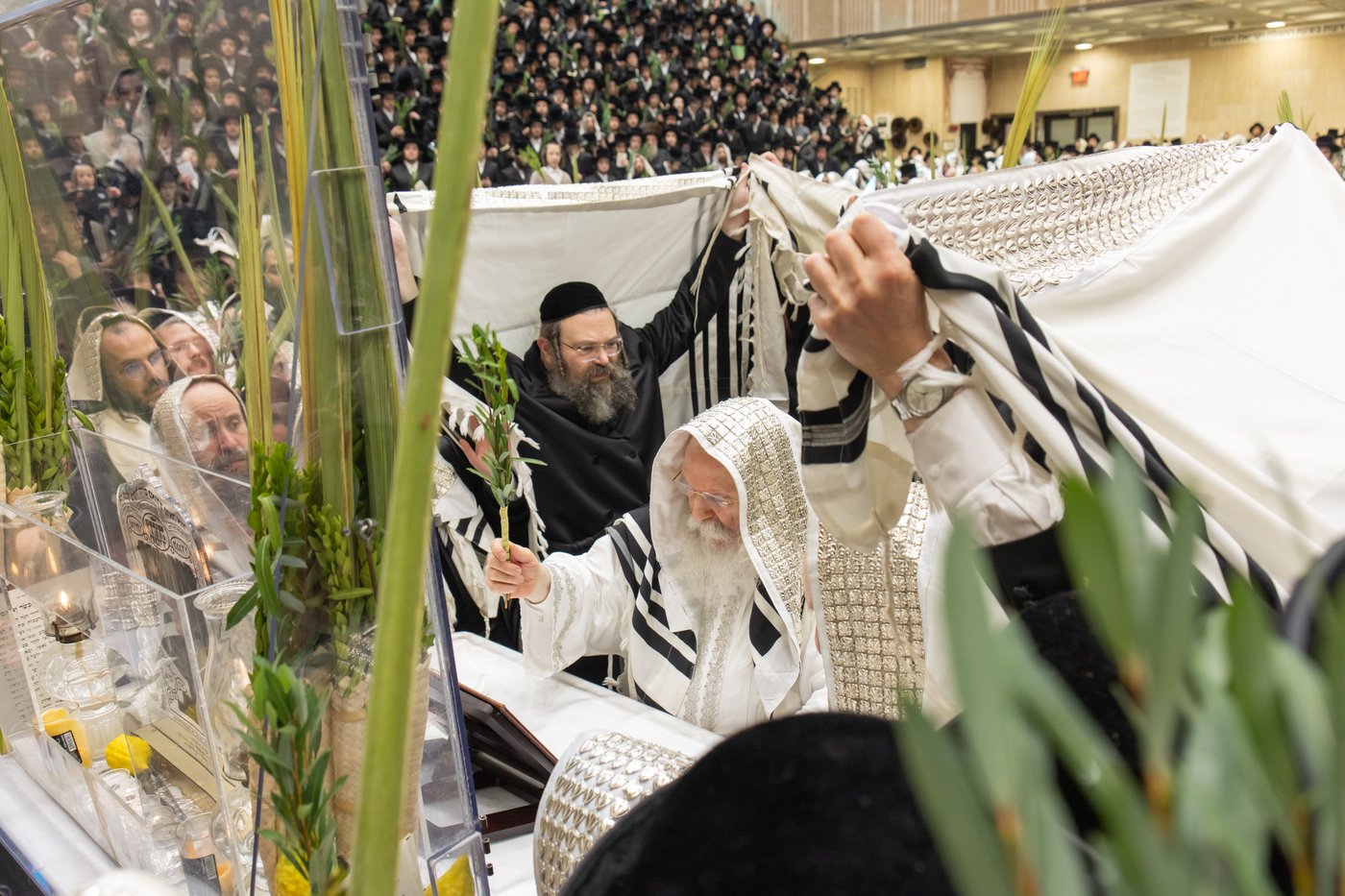 הושענא רבה בחצר הקודש באבוב | צילום: אחים לאנטשעווסקי