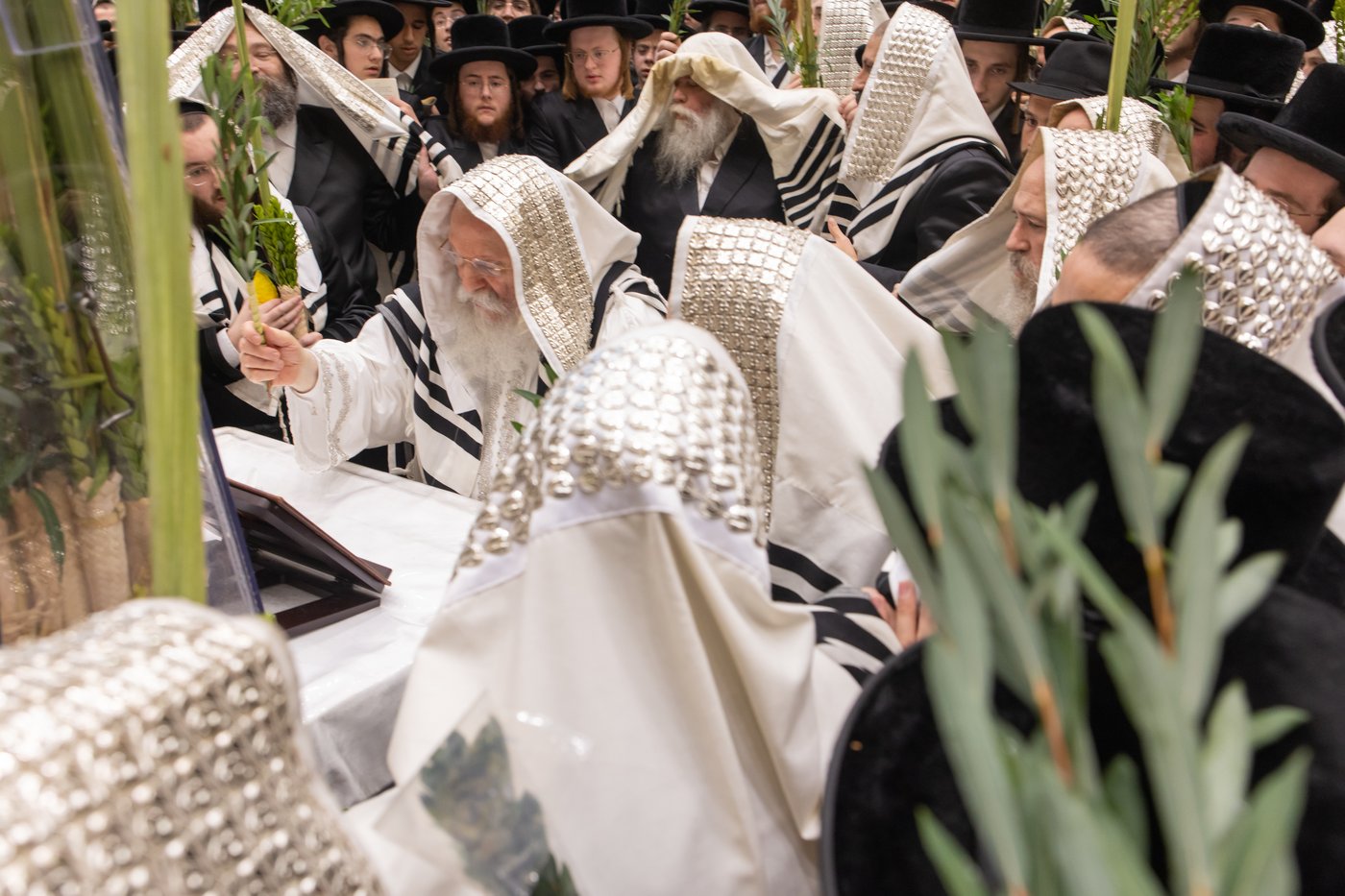 הושענא רבה בחצר הקודש באבוב | צילום: אחים לאנטשעווסקי
