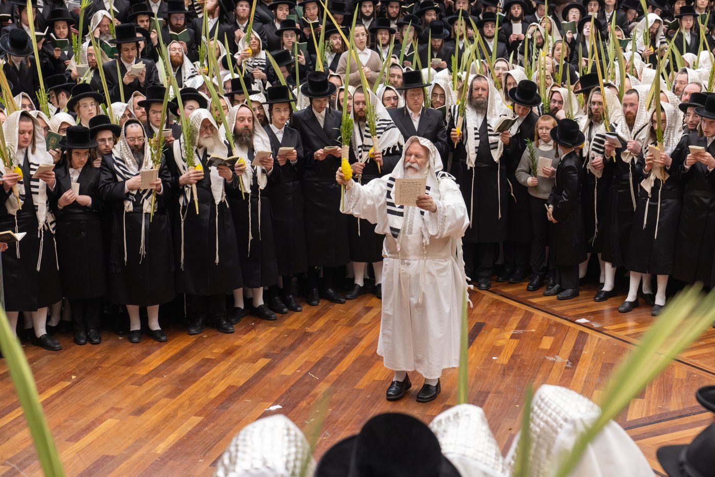 הושענא רבה בחצר הקודש באבוב | צילום: אחים לאנטשעווסקי