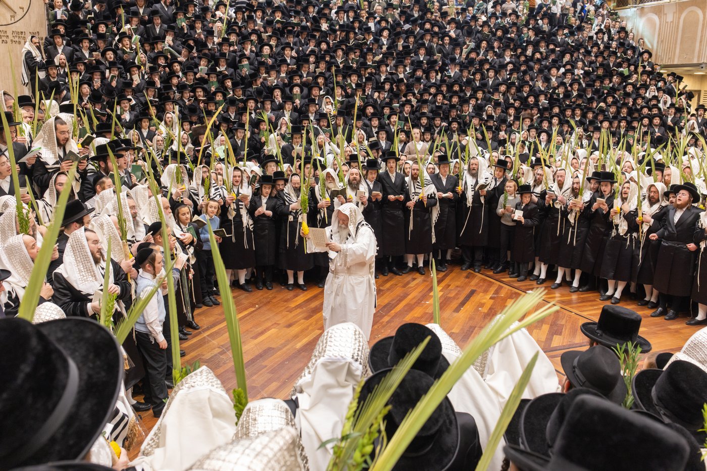 הושענא רבה בחצר הקודש באבוב | צילום: אחים לאנטשעווסקי