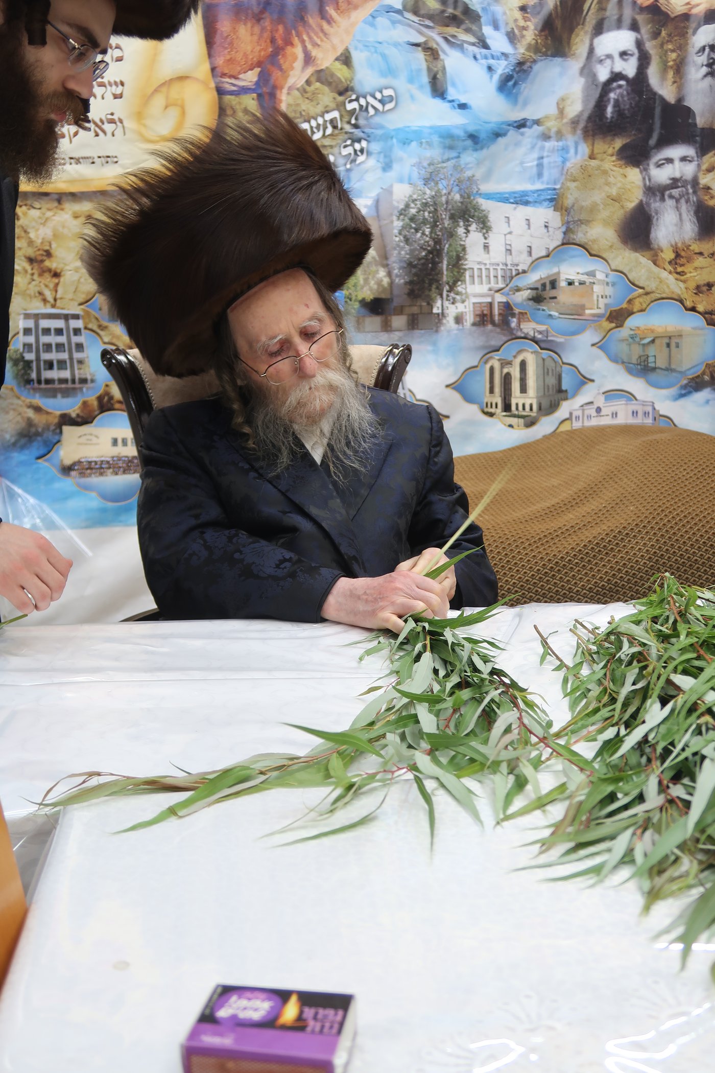 חג הסוכות בחצר ערלוי • צילום: שימי פ.