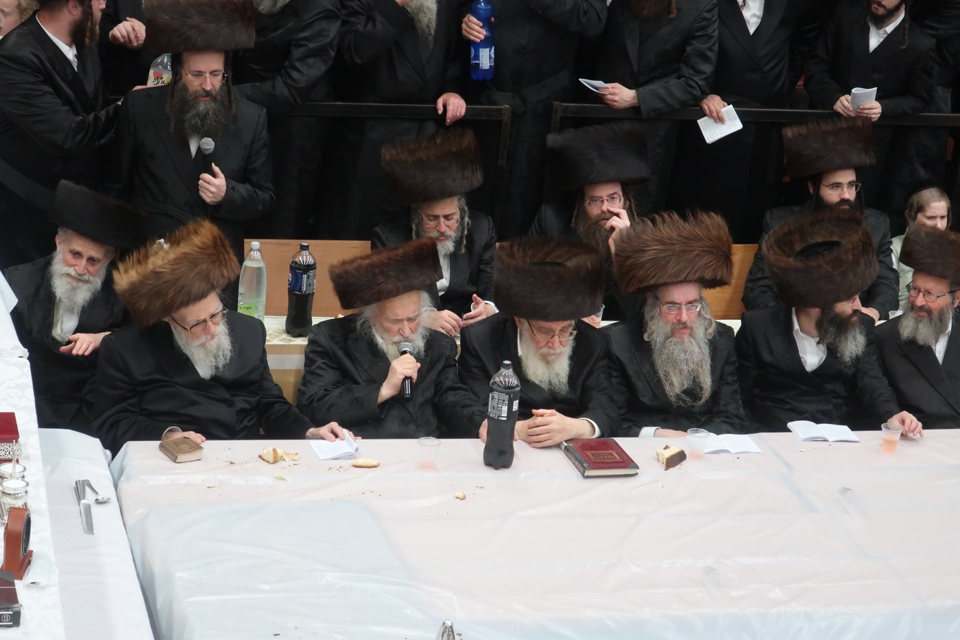 חג הסוכות בחצר ערלוי • צילום: שימי פ.
