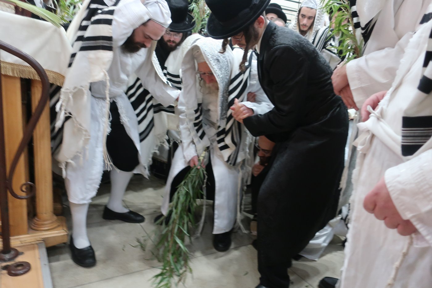 חג הסוכות בחצר ערלוי • צילום: שימי פ.