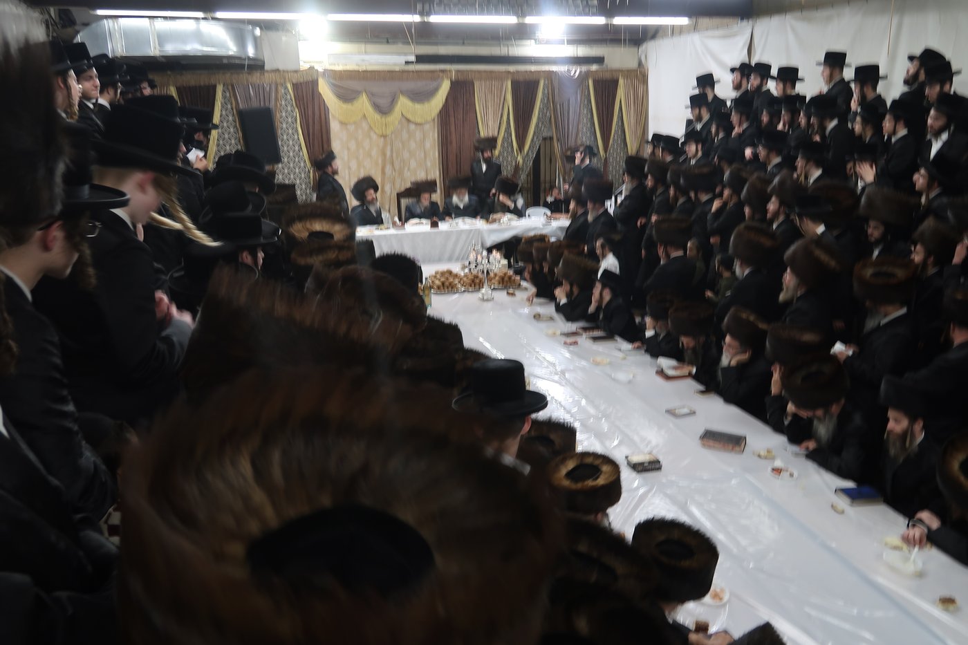 חג הסוכות בחצר ערלוי • צילום: שימי פ.
