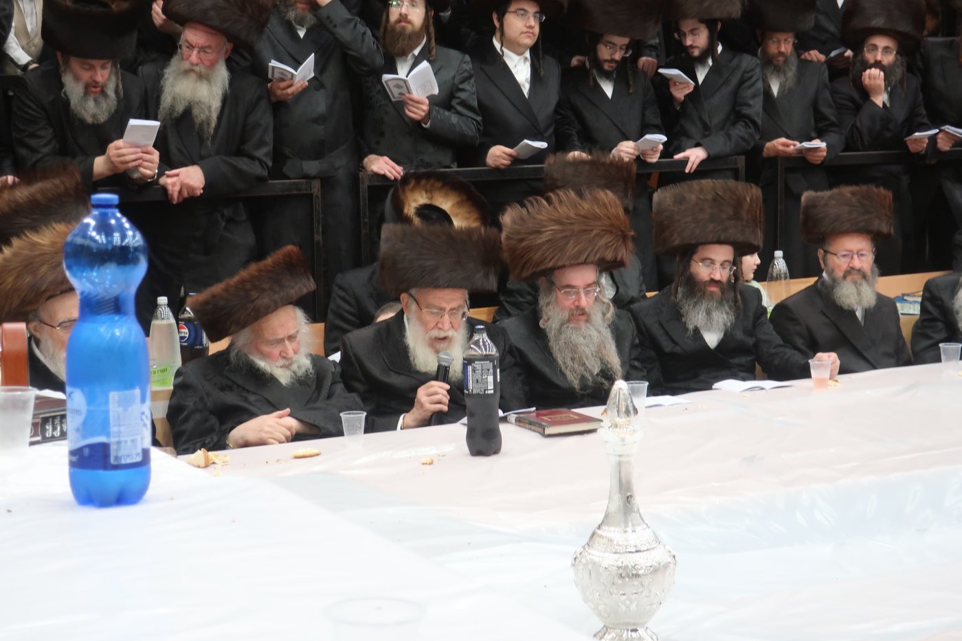 חג הסוכות בחצר ערלוי • צילום: שימי פ.