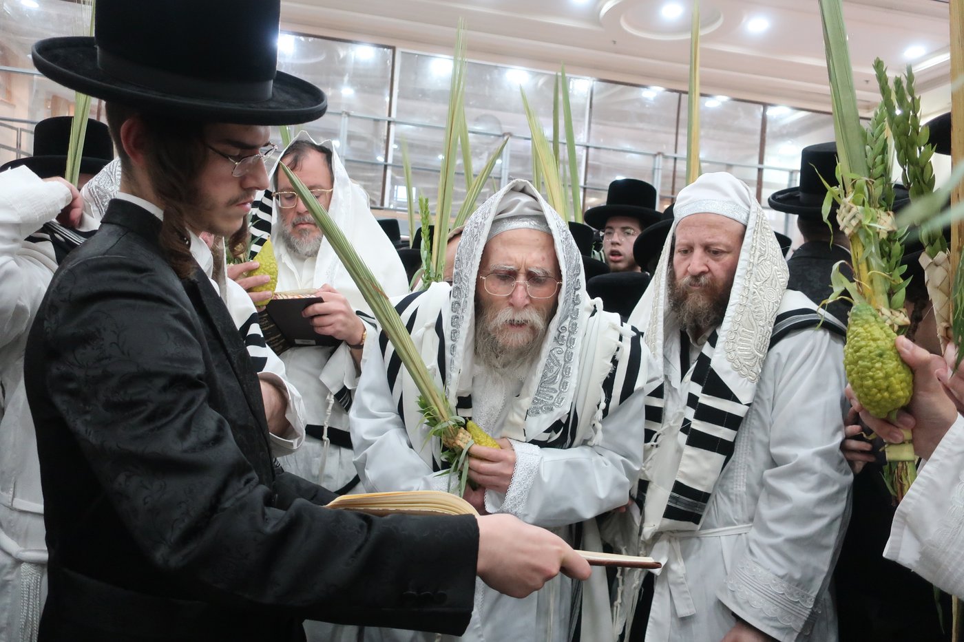 חג הסוכות בחצר ערלוי • צילום: שימי פ.