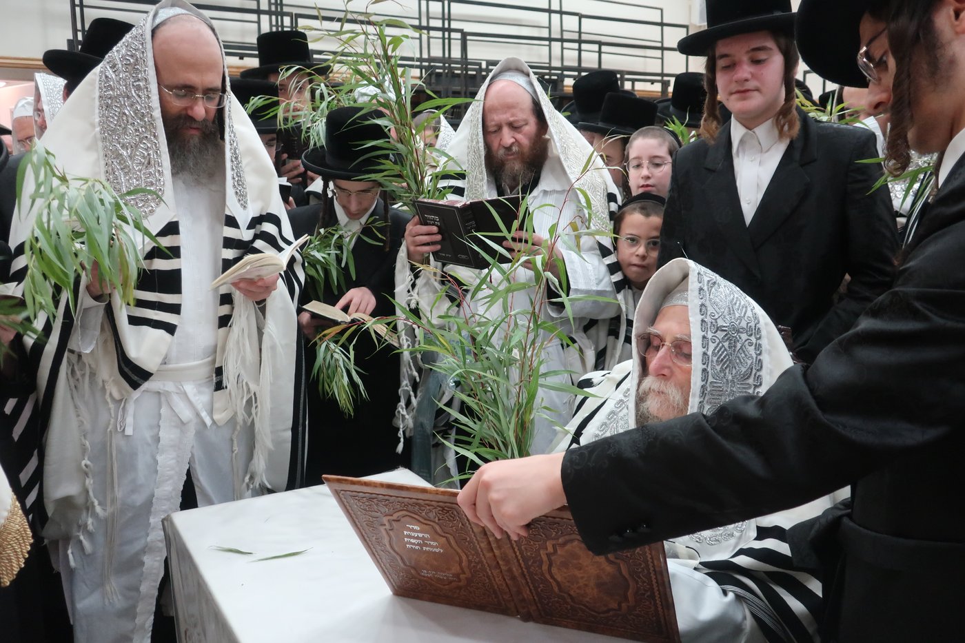 חג הסוכות בחצר ערלוי • צילום: שימי פ.