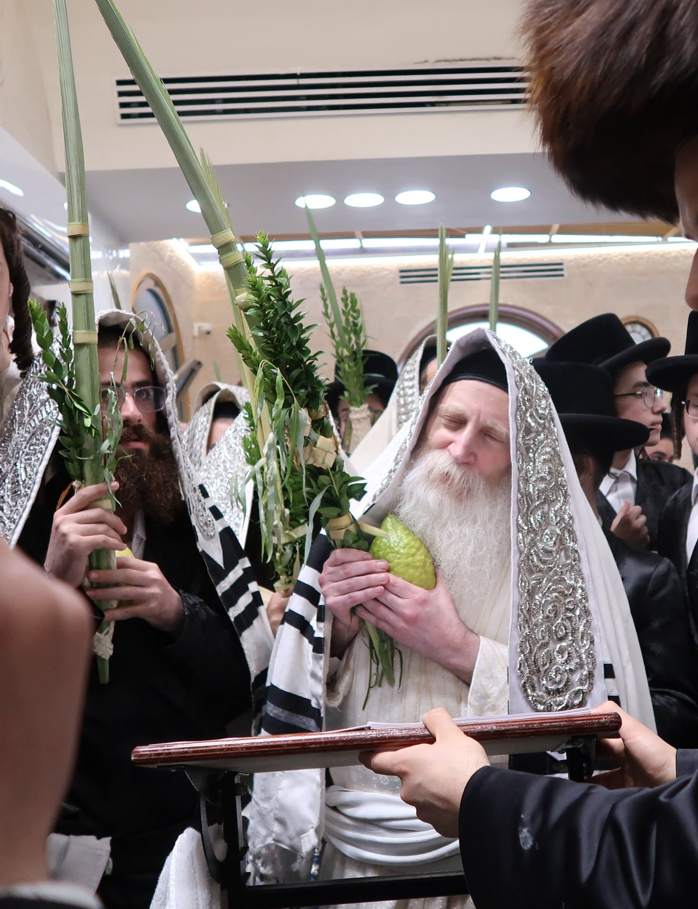 ימי החג אצל האדמו"ר מתורת חכם | צילום: באדיבות המצלם